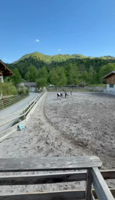 @Mountain Hill Ranch 🇦🇹