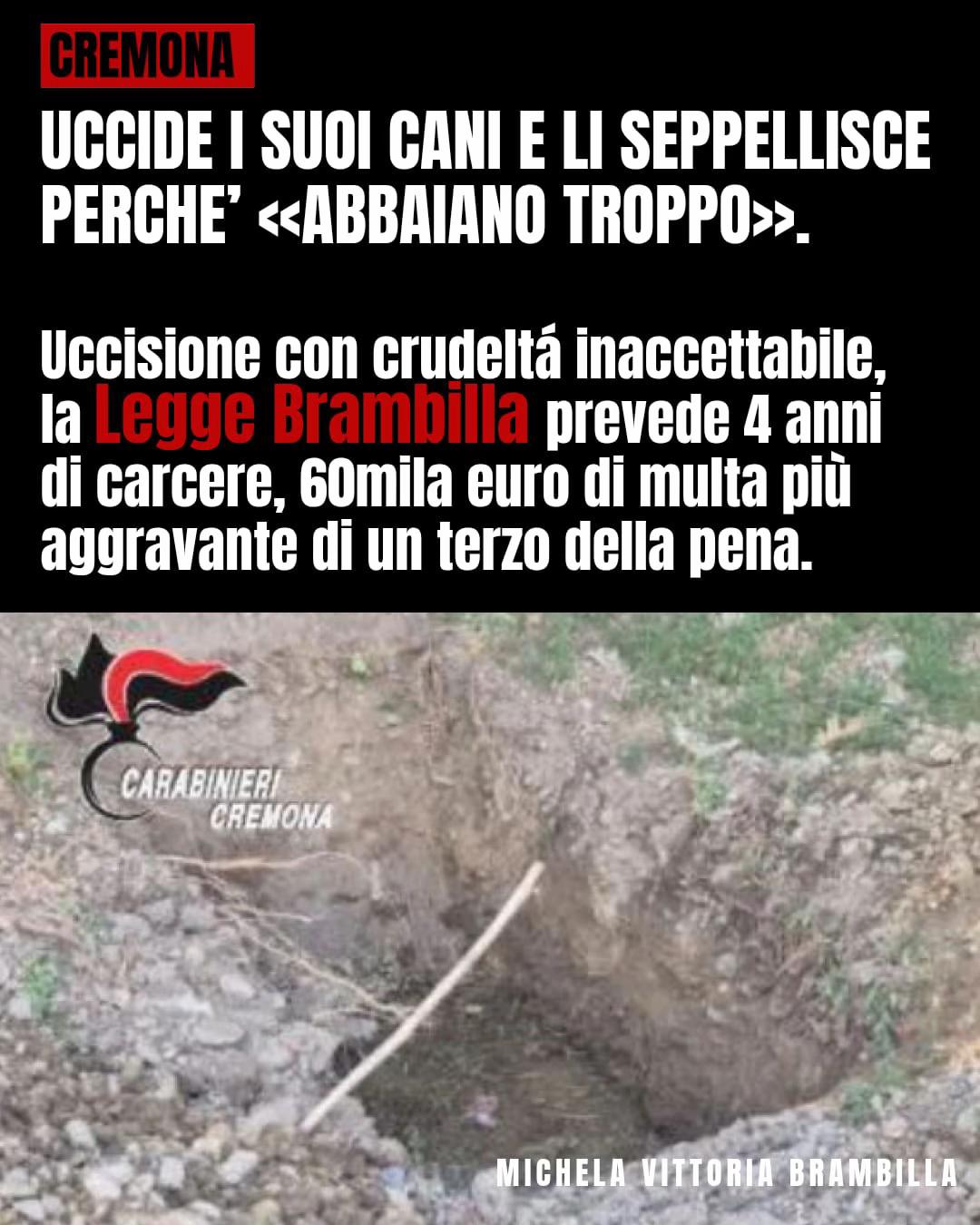 @Michela Vittoria Brambilla