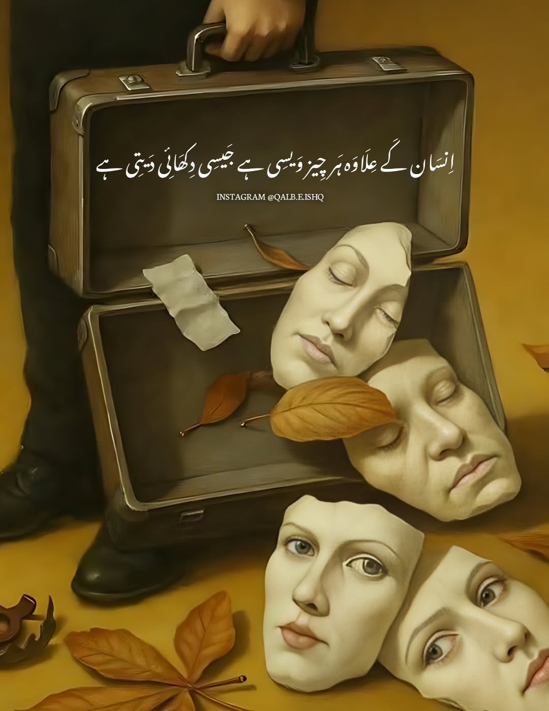 @Meharzaddi103❤️🦋❤️