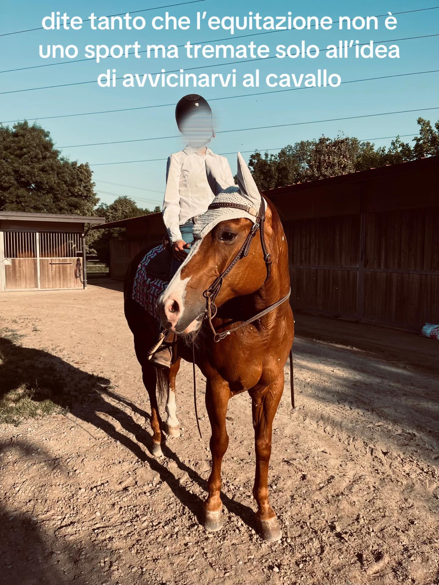 @𝐚𝐮𝐫𝐢𝐢🌟
