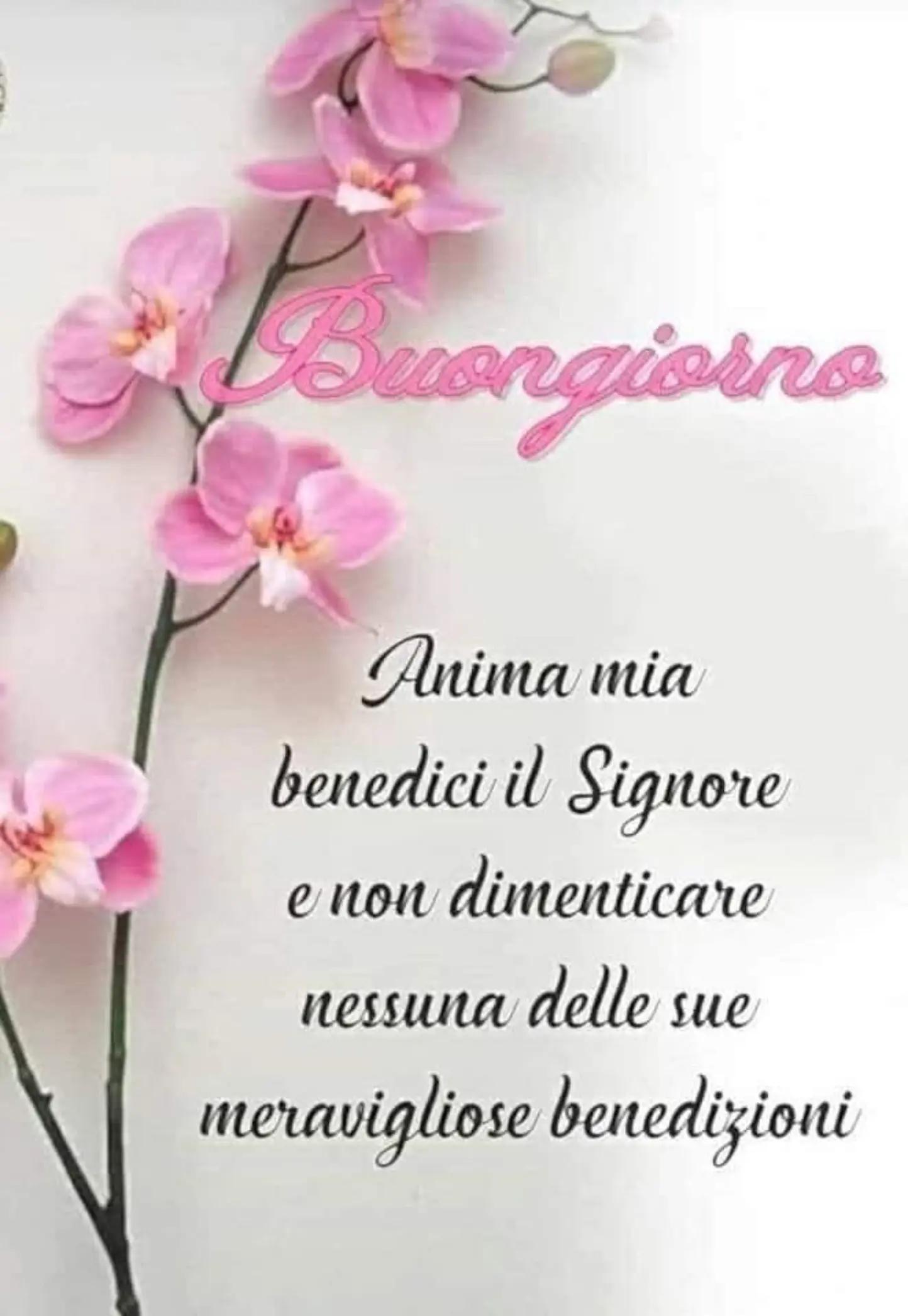 @Tania-17