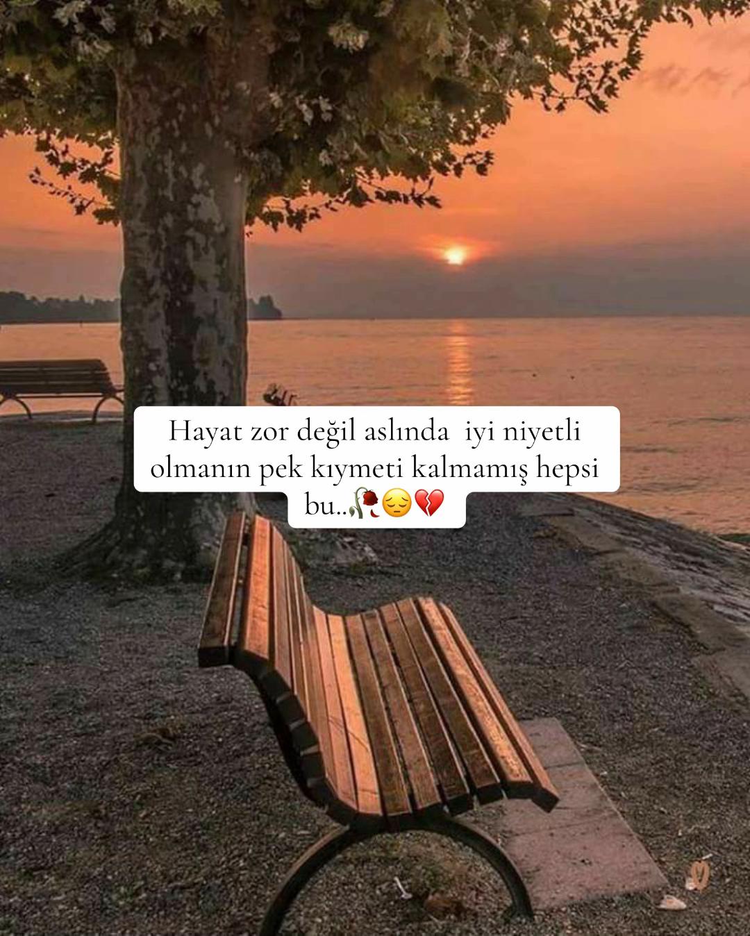 @ruh_tamiri  🍃🌹