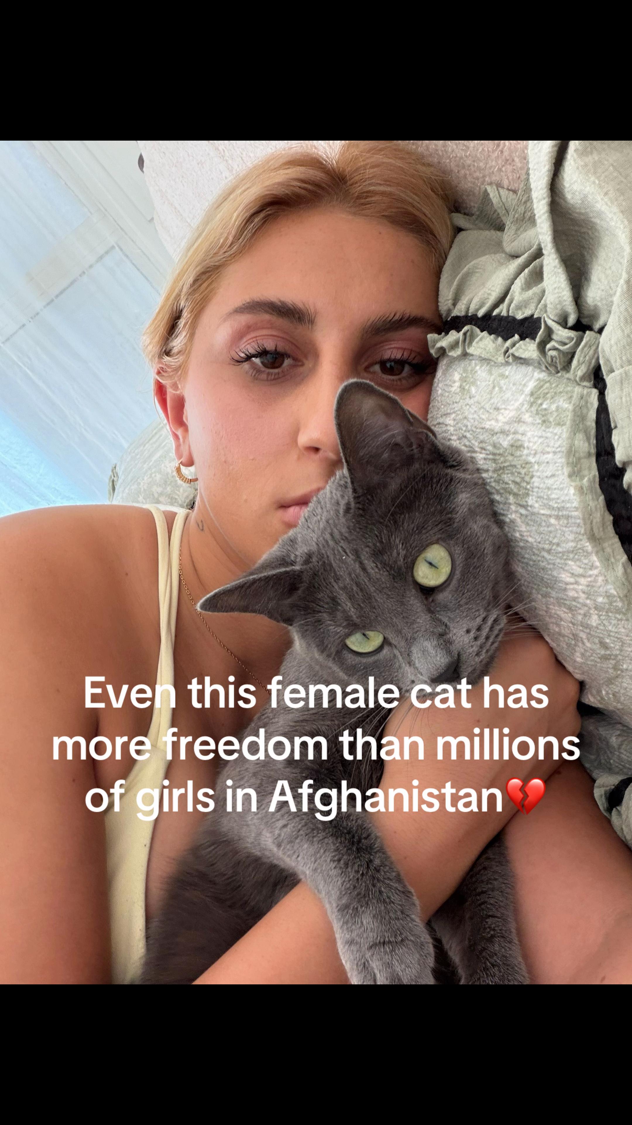 @marziehhamidi