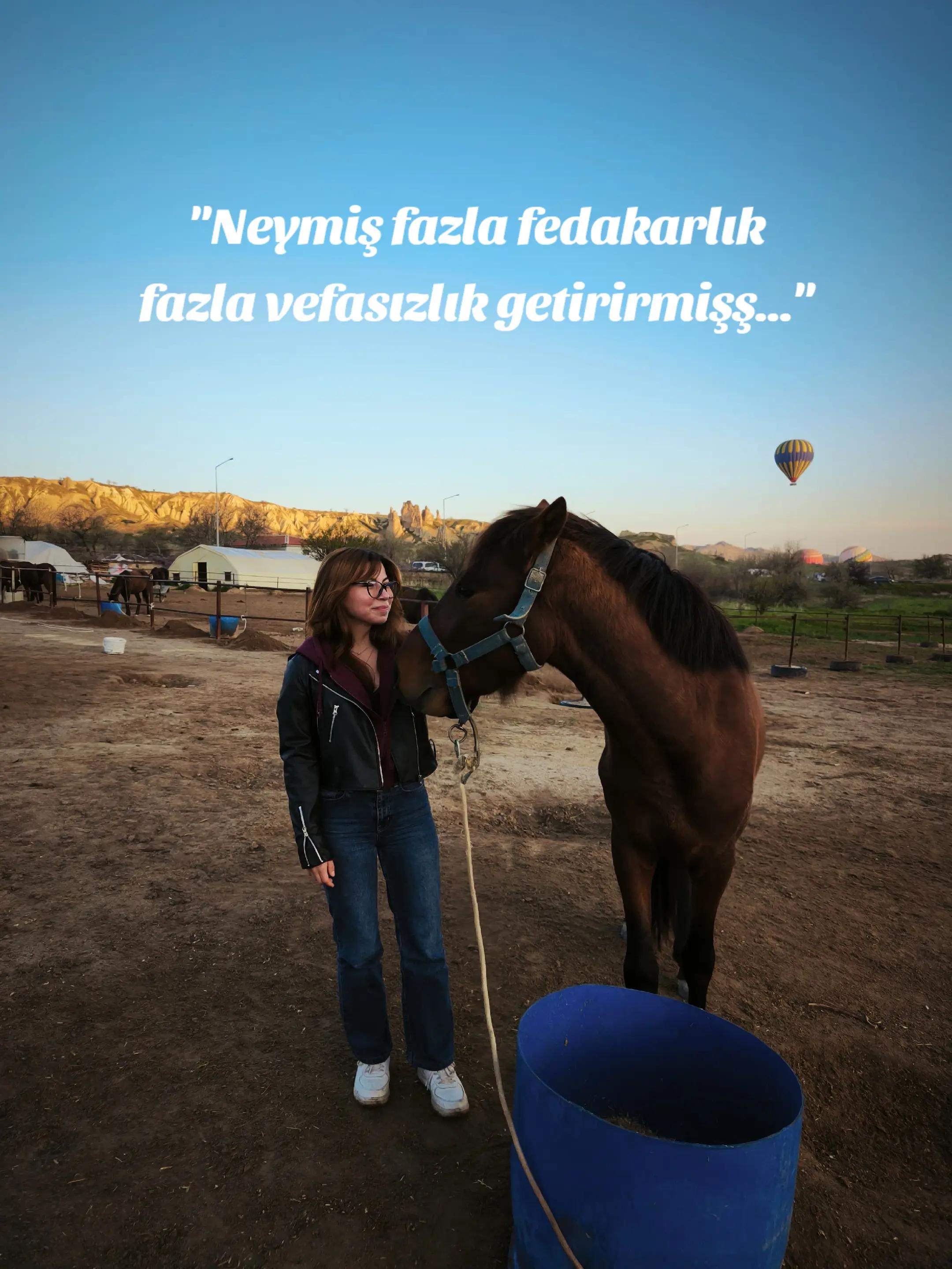 @Hilal &Ouml;zmen