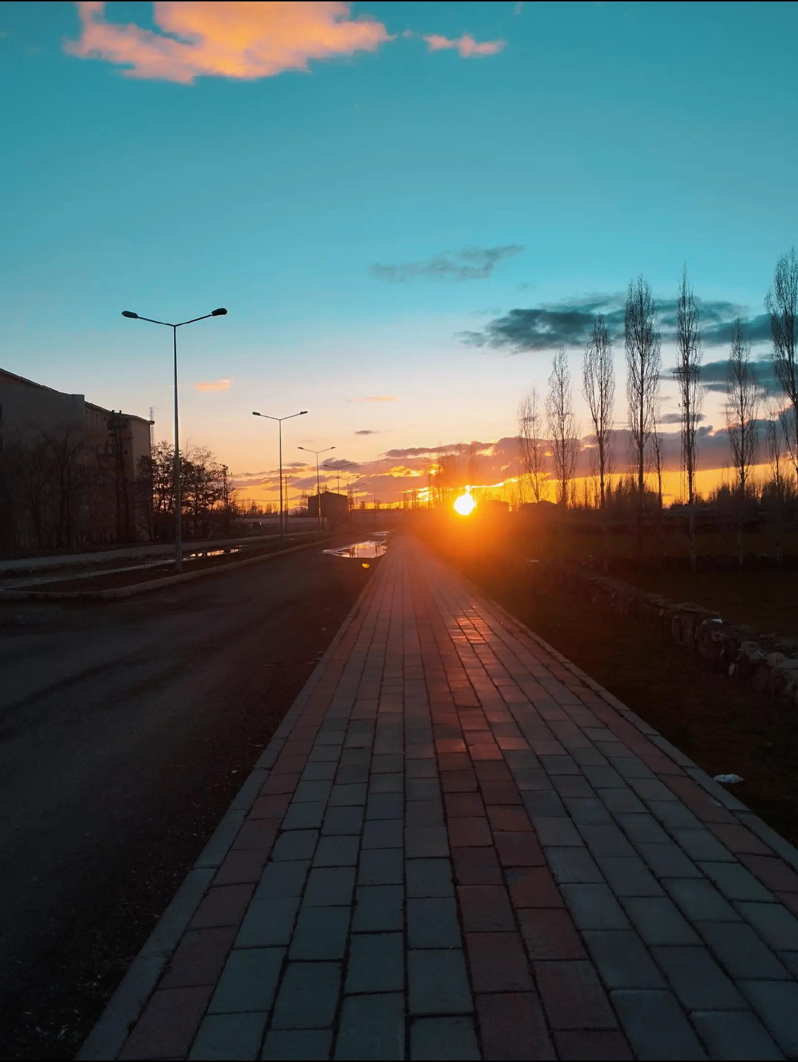 @MUŞLU๛BIRHAN