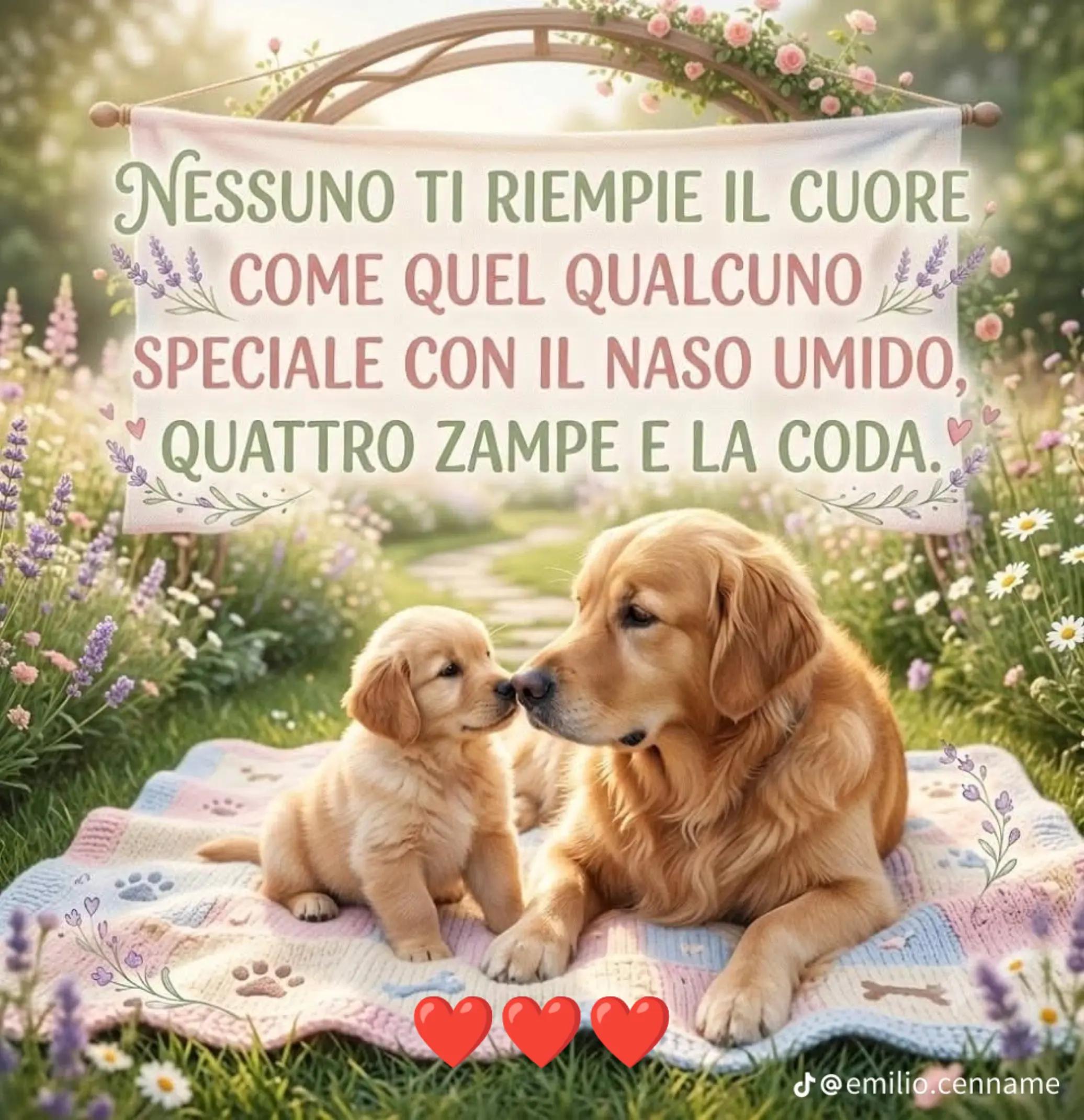 @fortemente ♥️😇