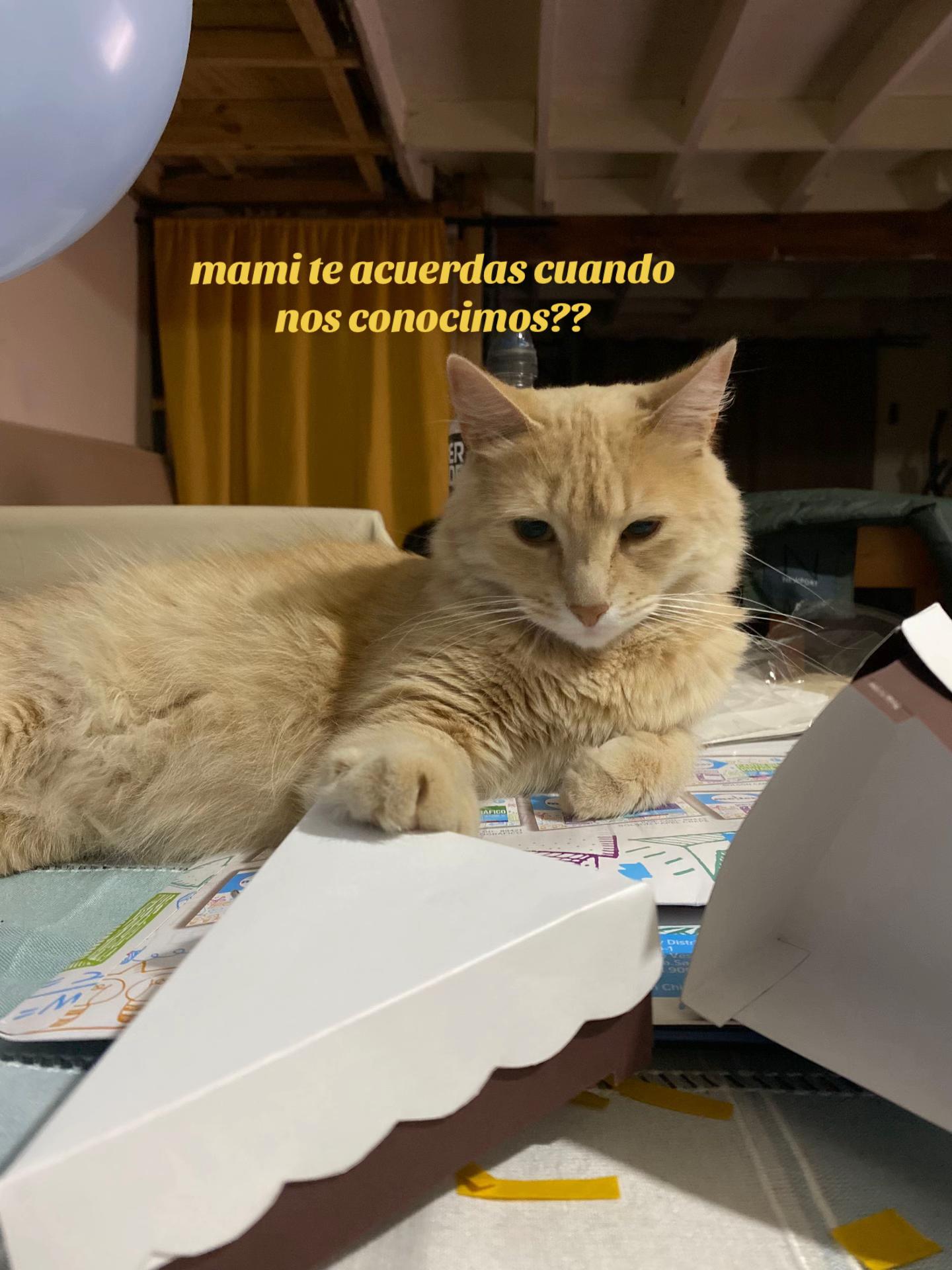@wk.catata