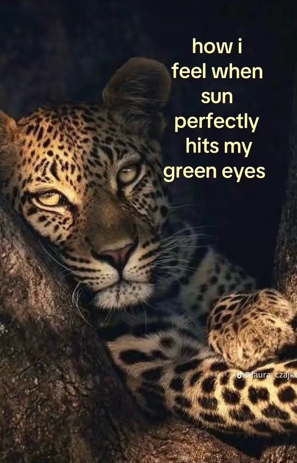 @๐๐๐๐๐ โ๐๐๐๐