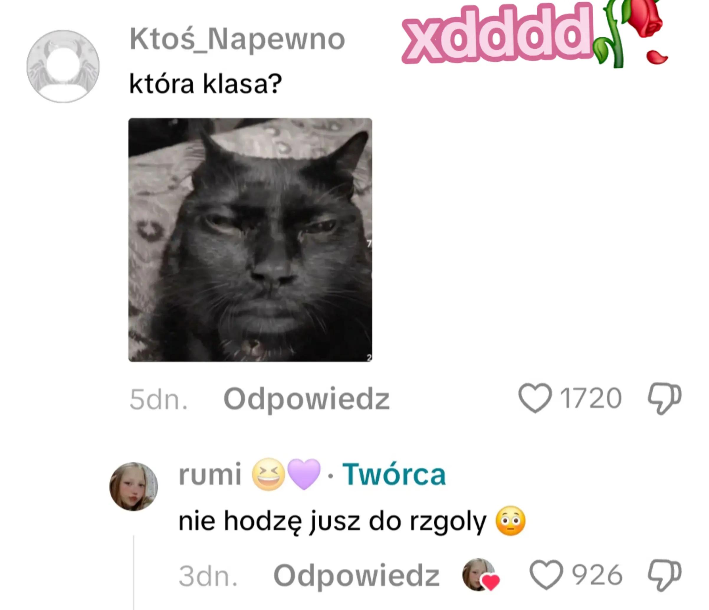 @🐢kocham żółwie🐢