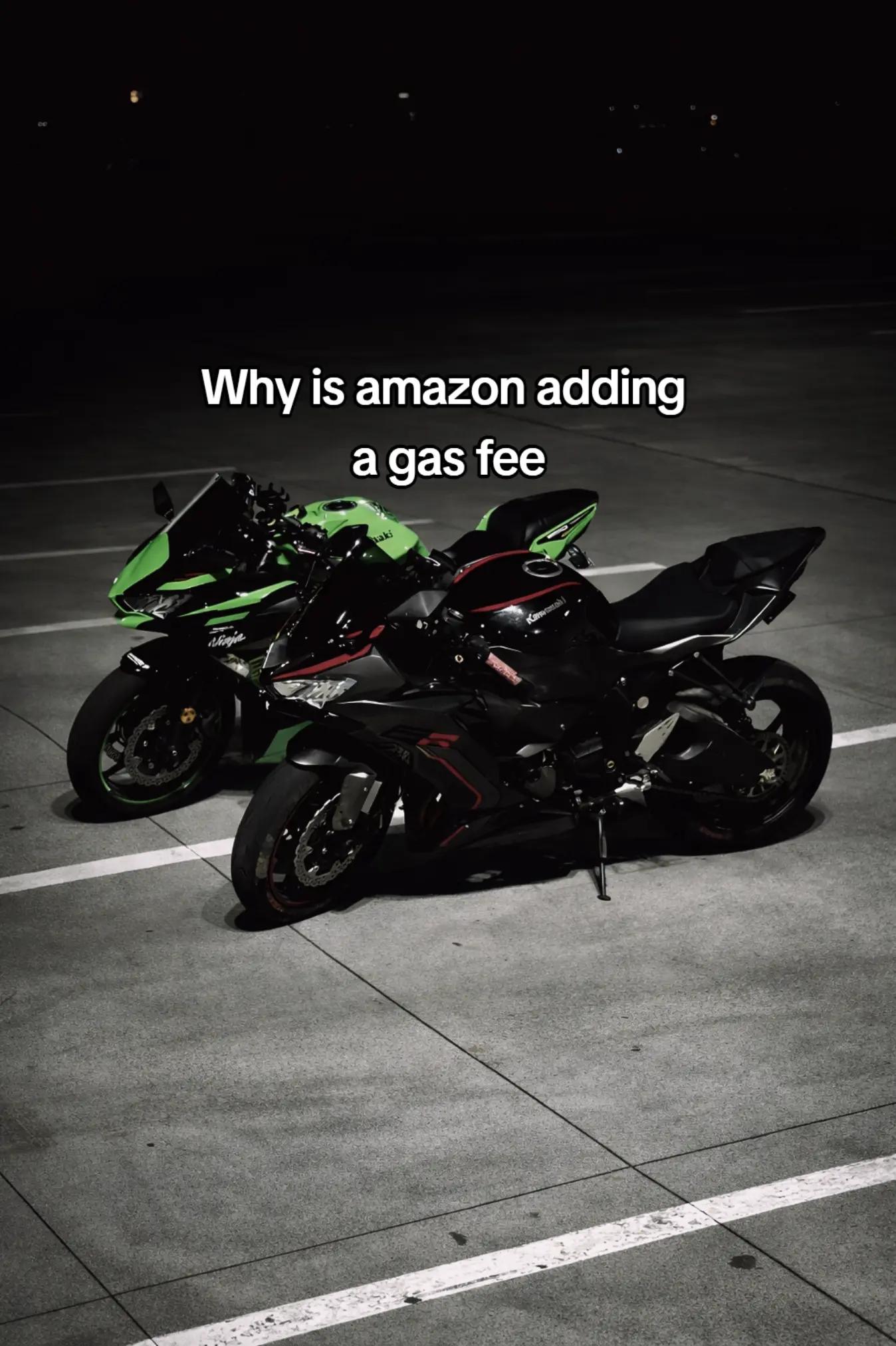 @Nocturnal.636