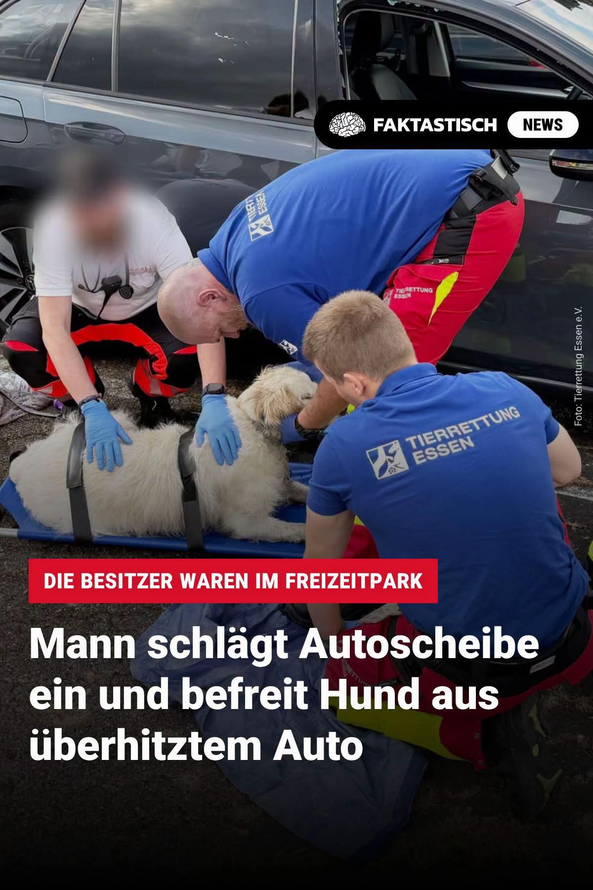 @Faktastisch