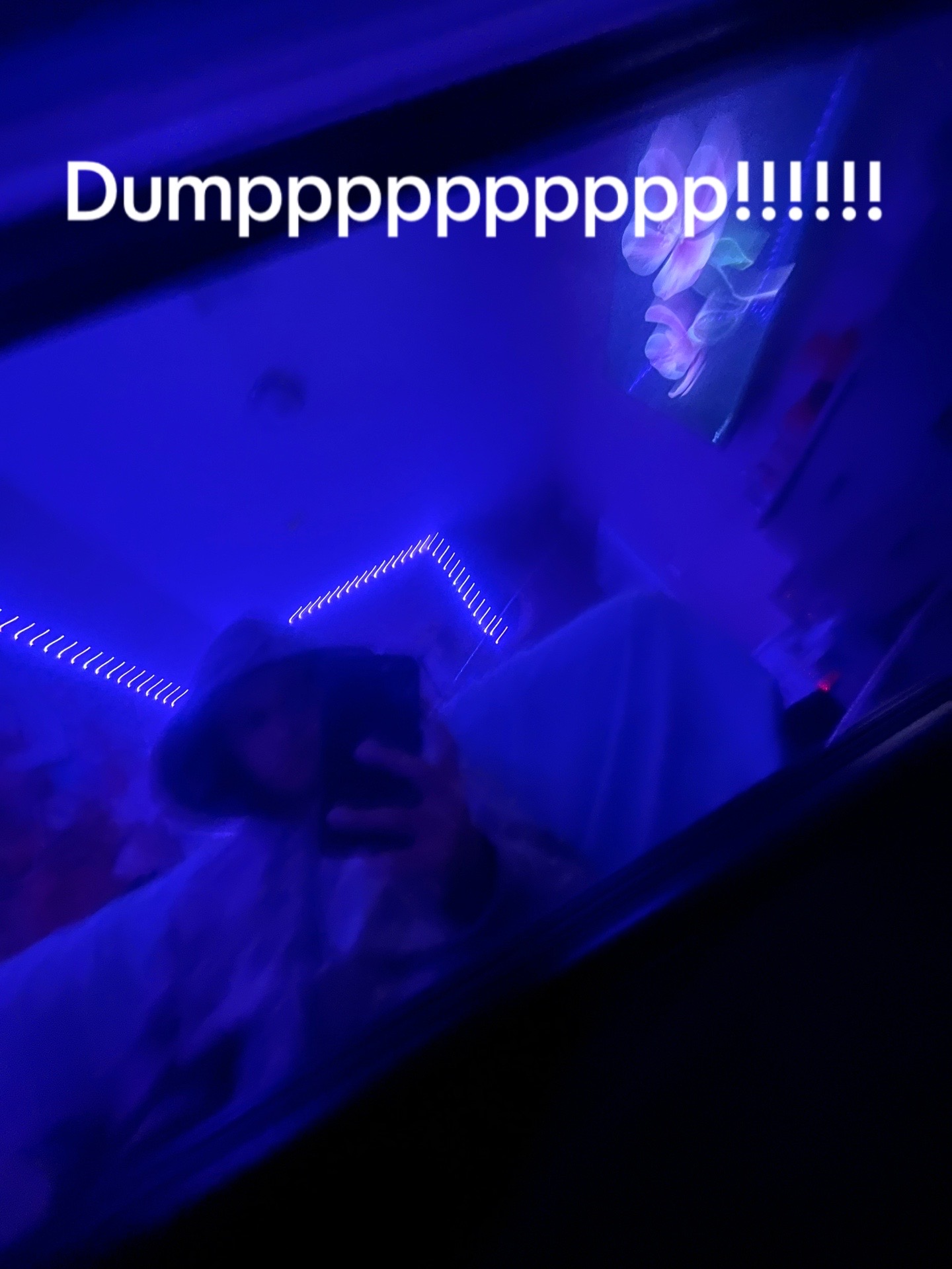 @$Terrell67$$