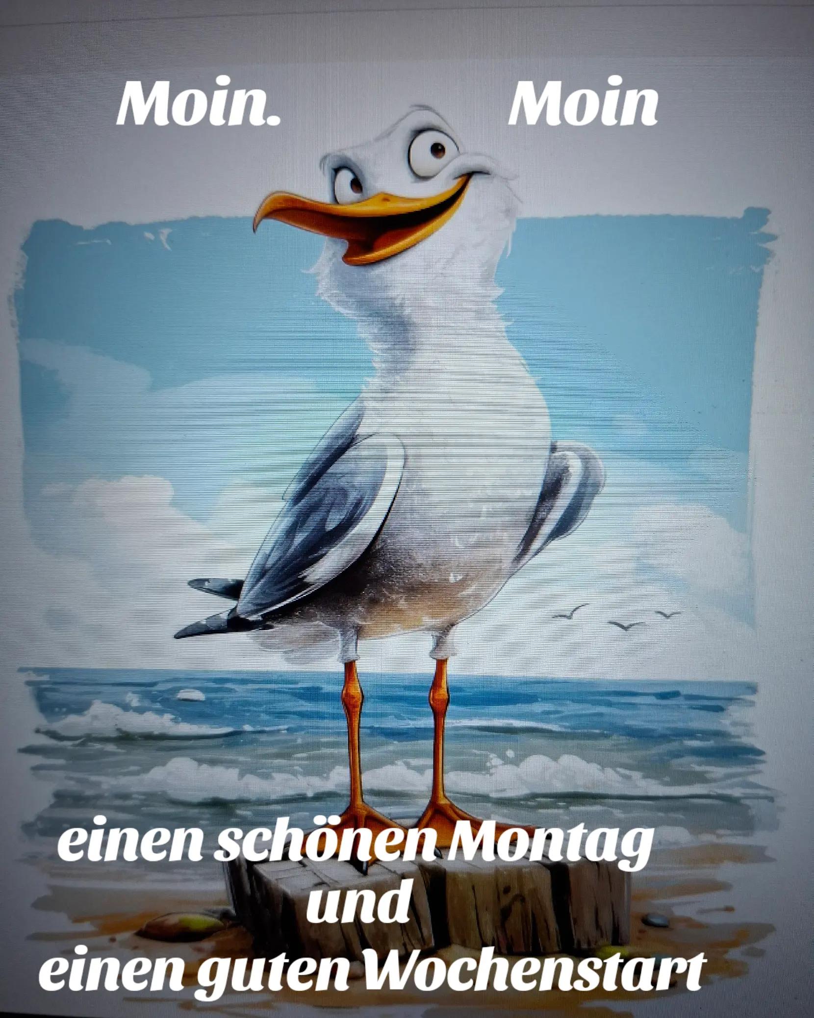 @geistlein12