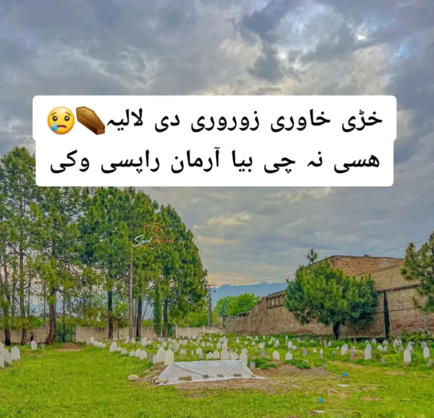 @Pk.chefburak