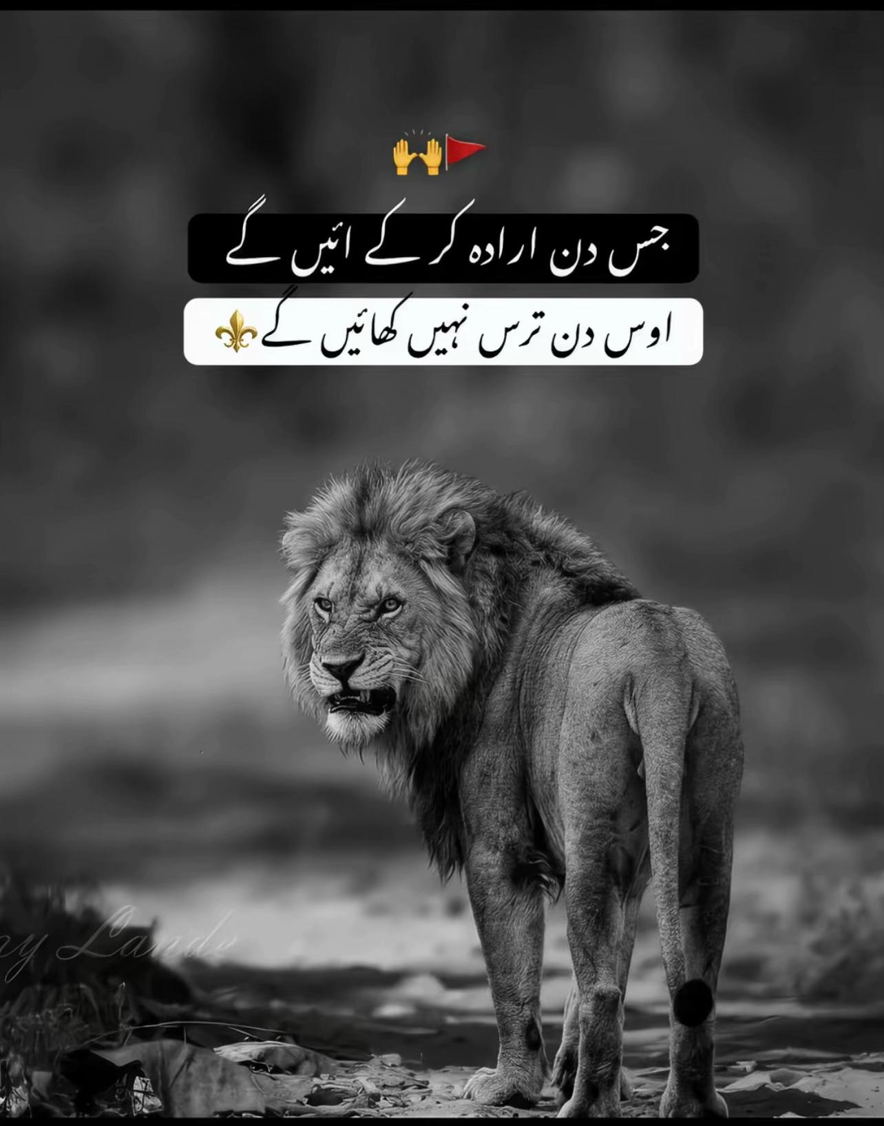 @&spades;️شیخ سفیان کامونکی آلہ💸😎