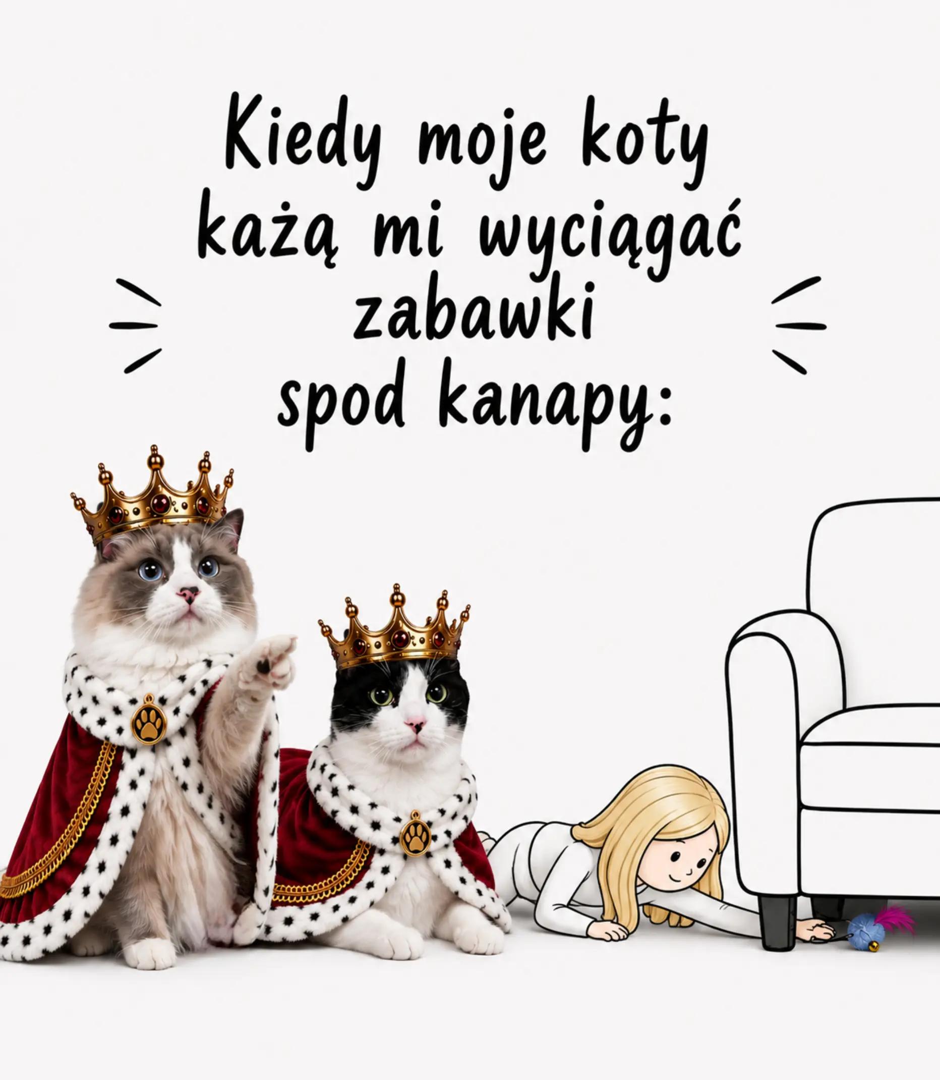 @😻Ekipa Świrka 😻