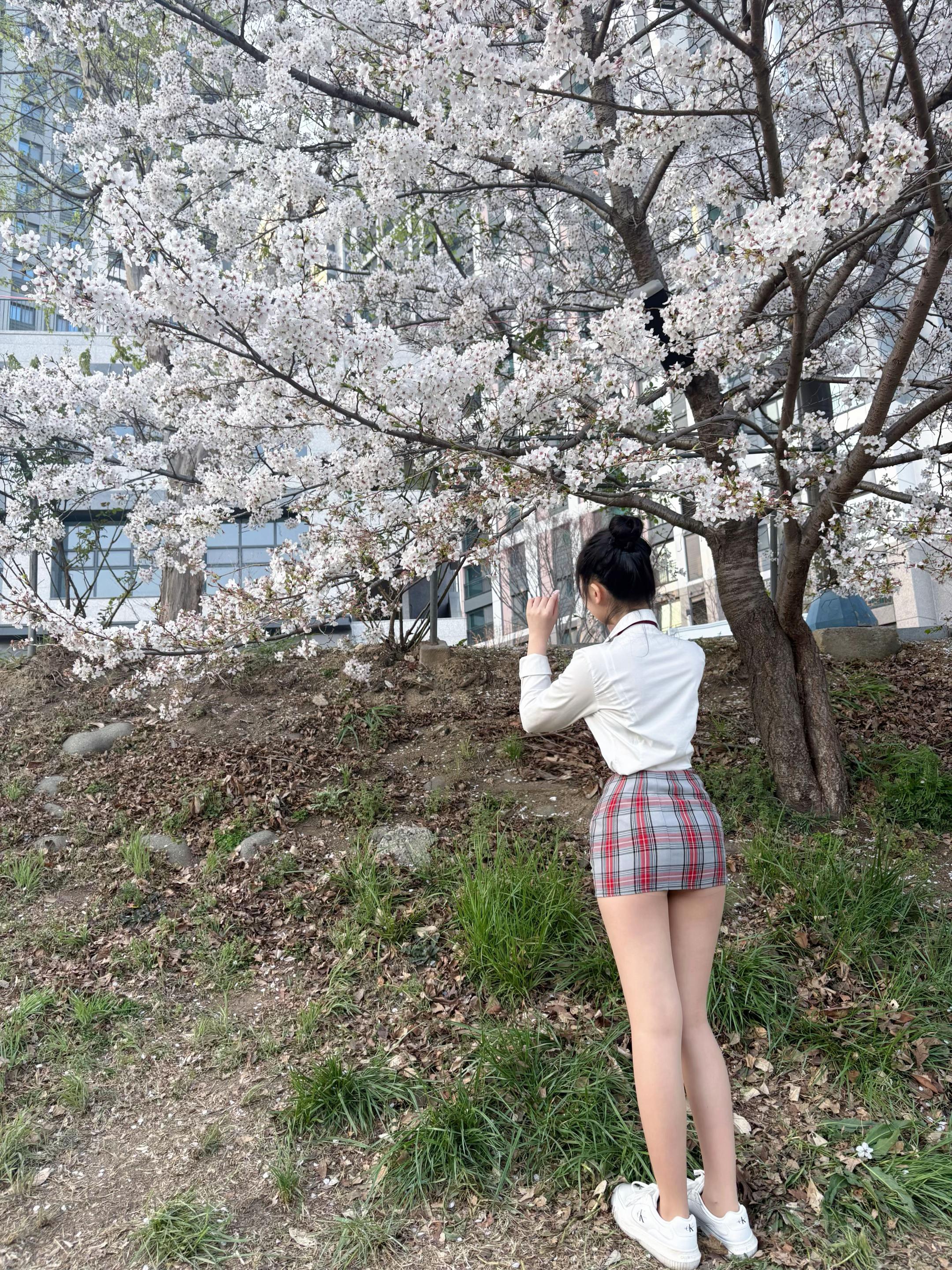 @돌고래