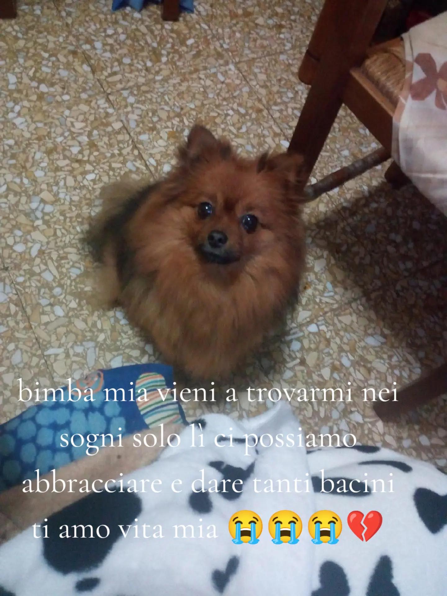 @Carmela Aiello