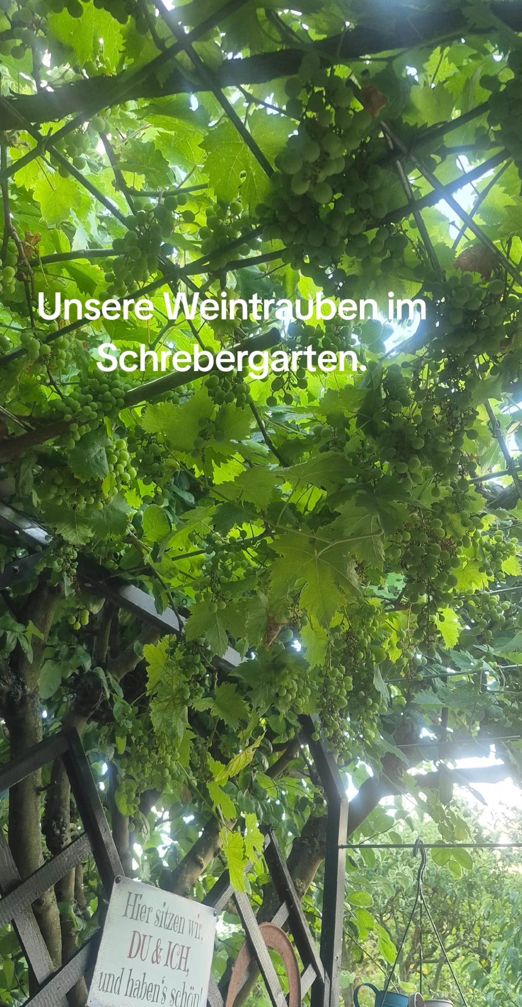 @Heike Schneider