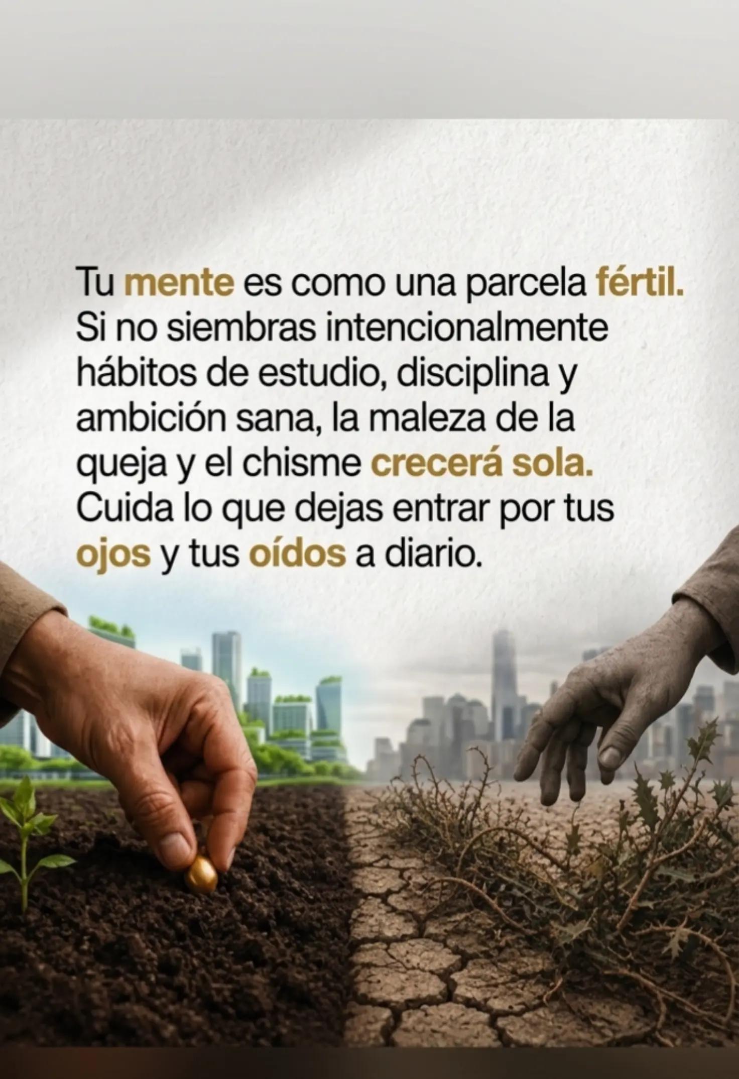 @luis abello