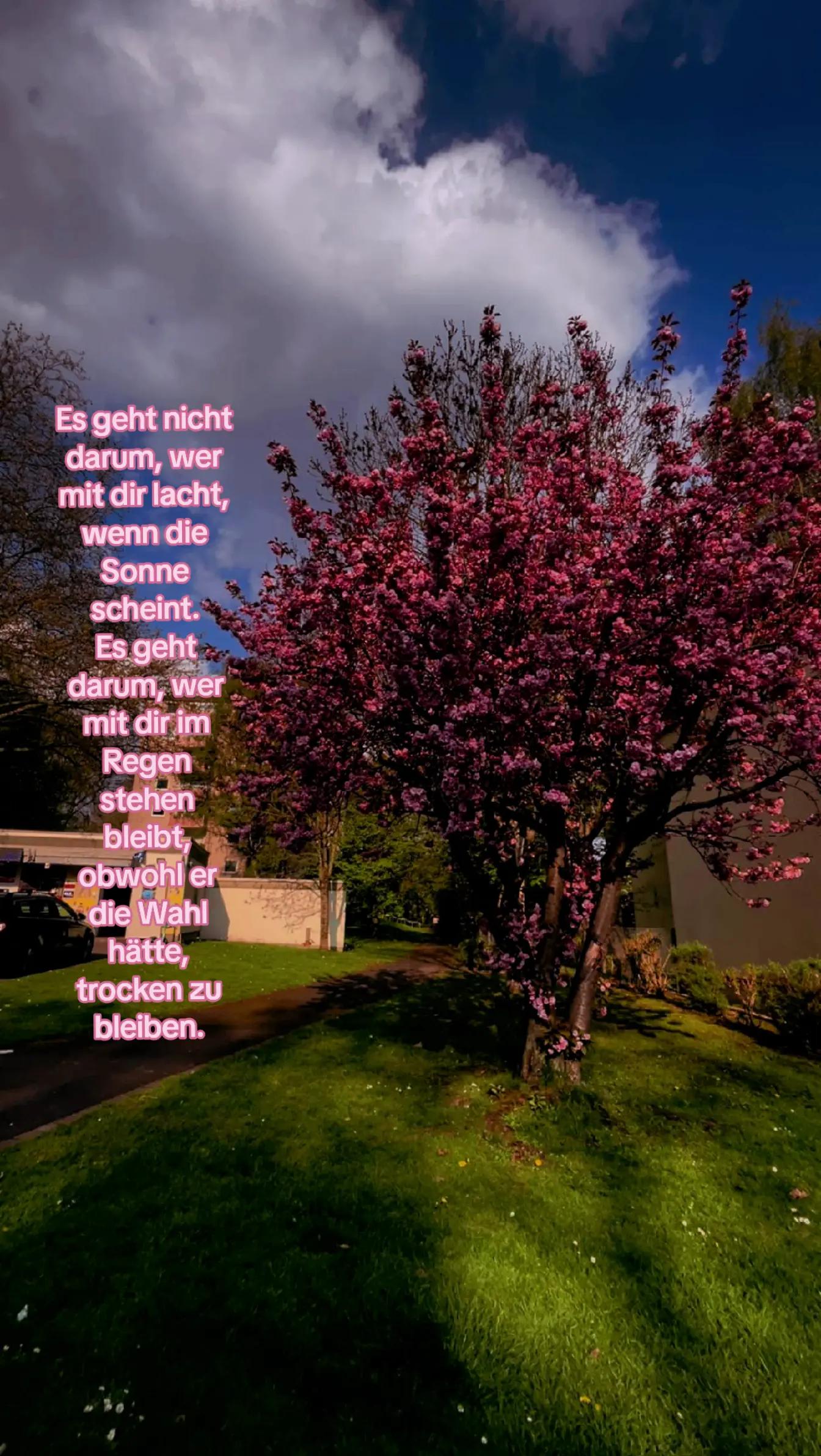 @Wiktoria_officiel60