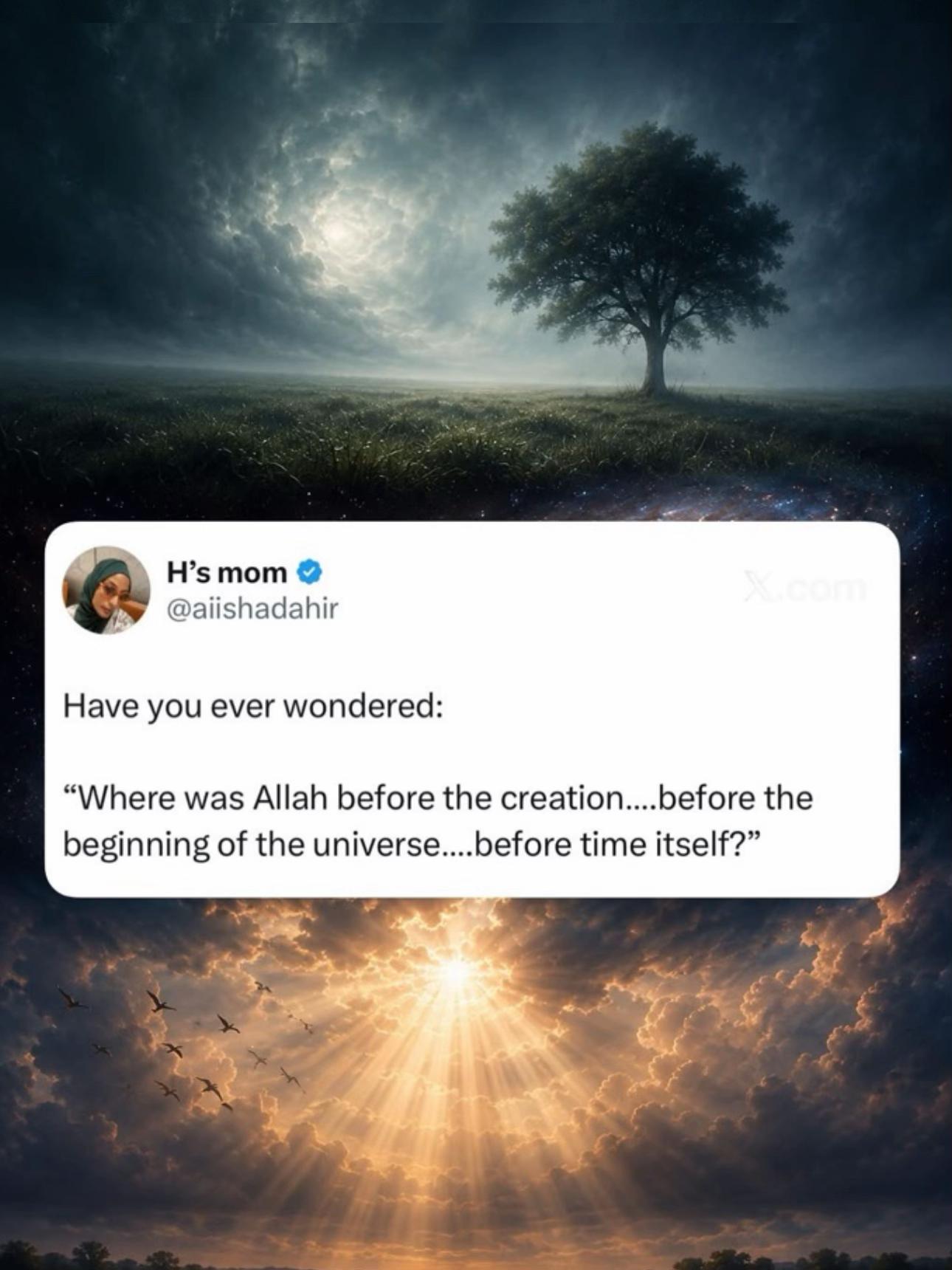 @Aisha Dahir