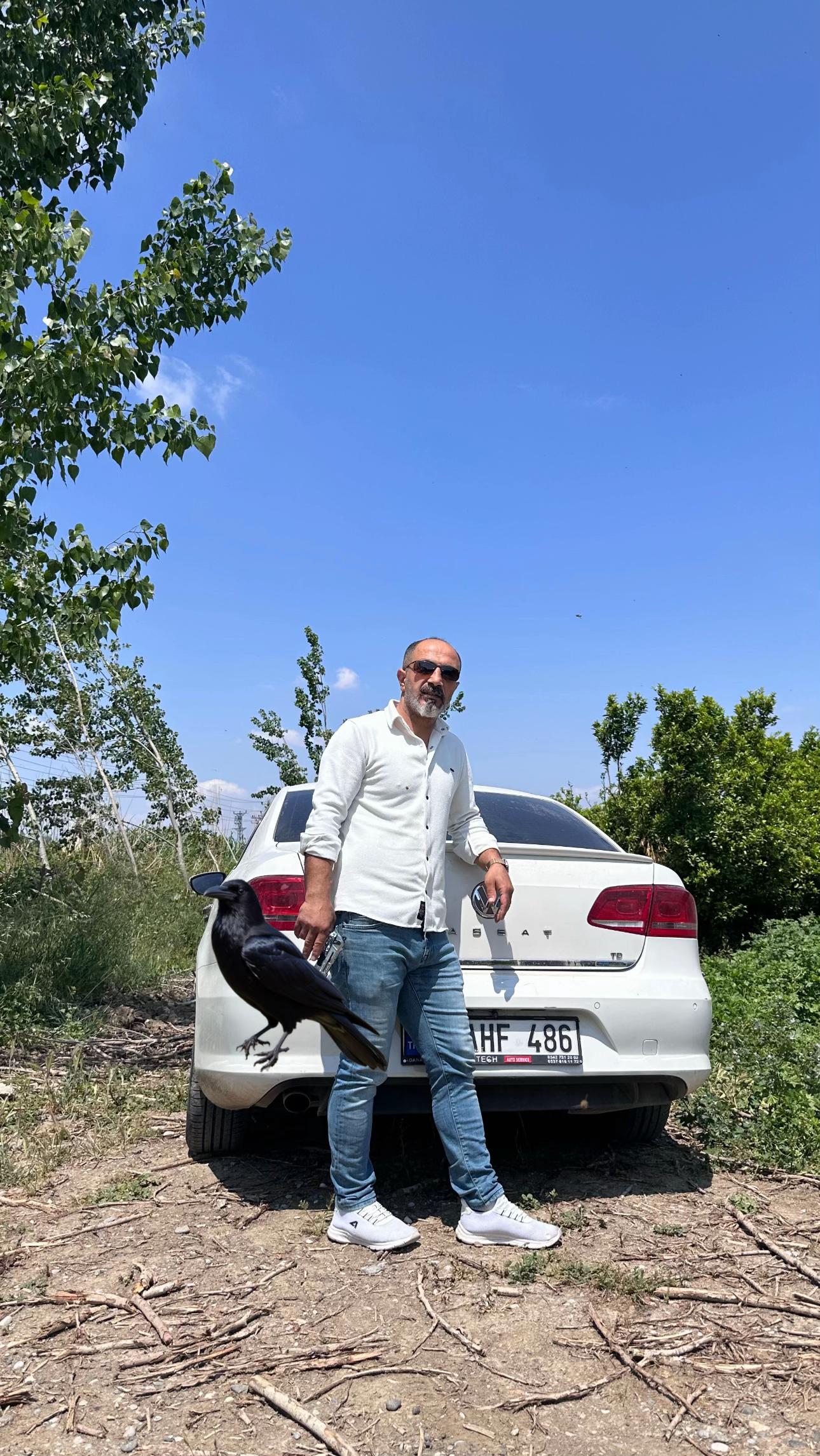@Tekin arslan