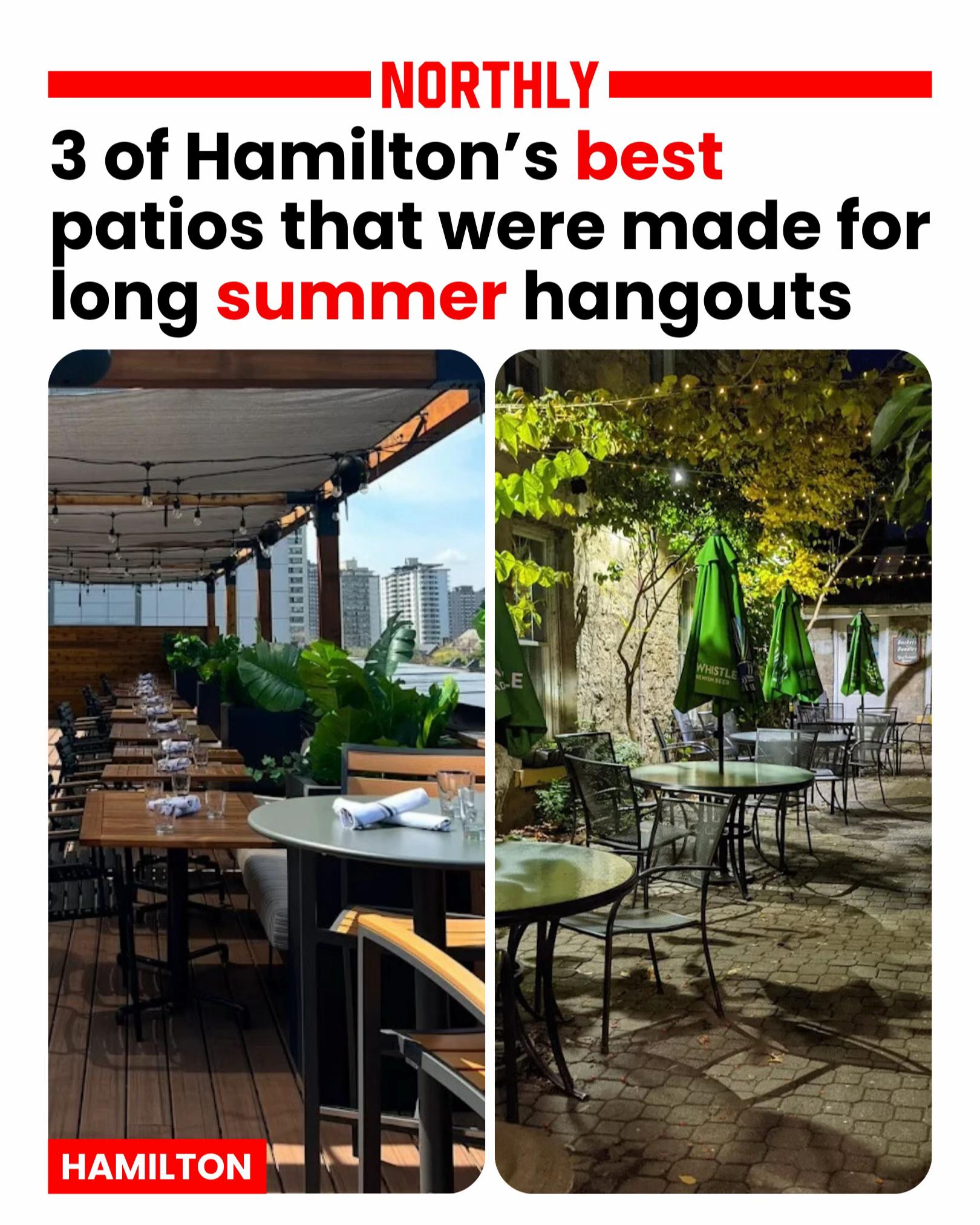 @Northly Hamilton