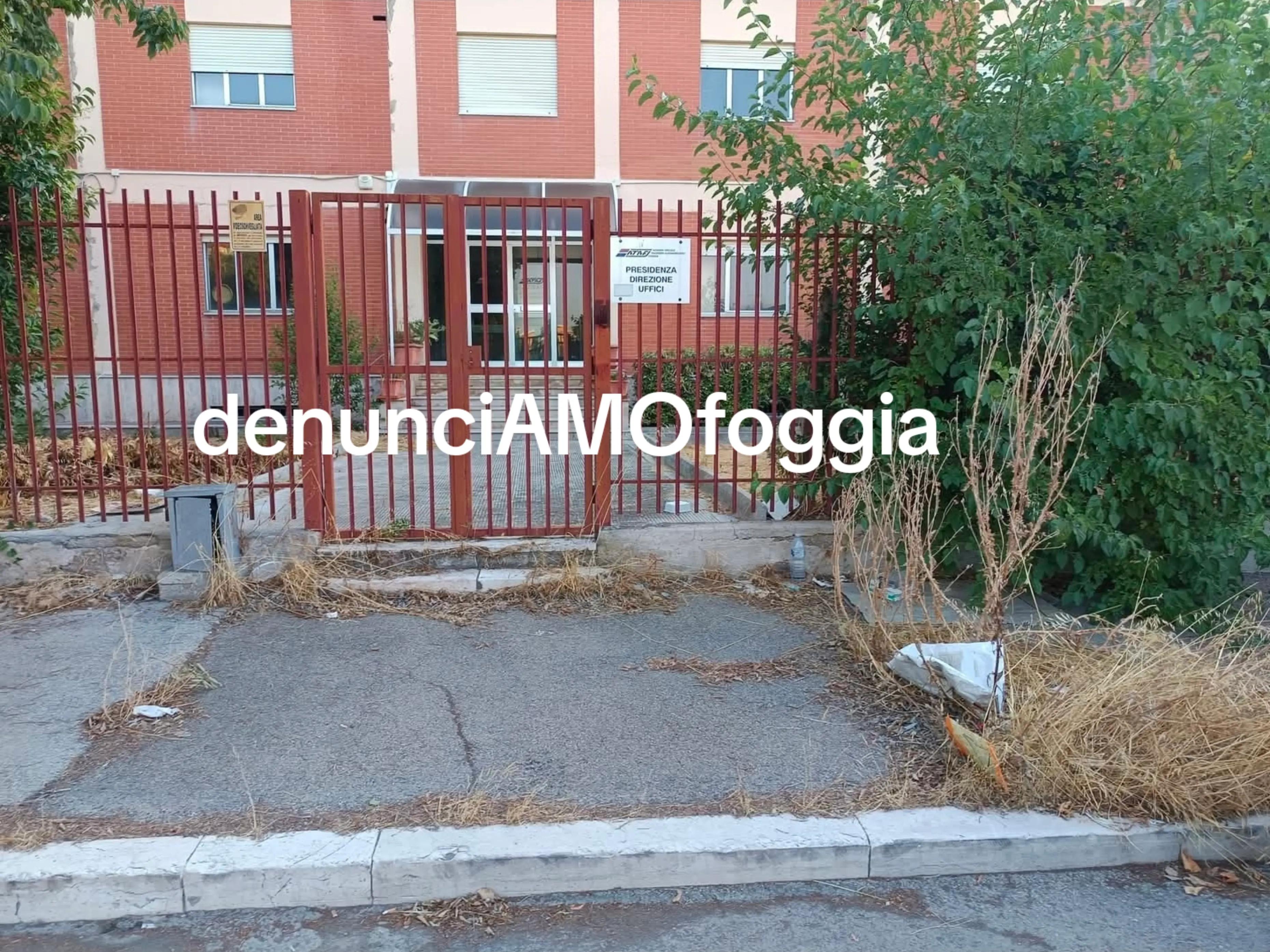 @denunciAMOfoggia