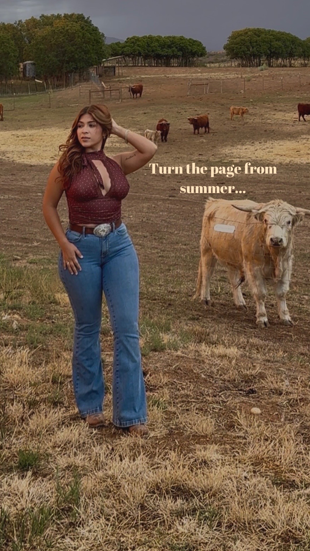 @Angie P Gallardo | DFW Creator