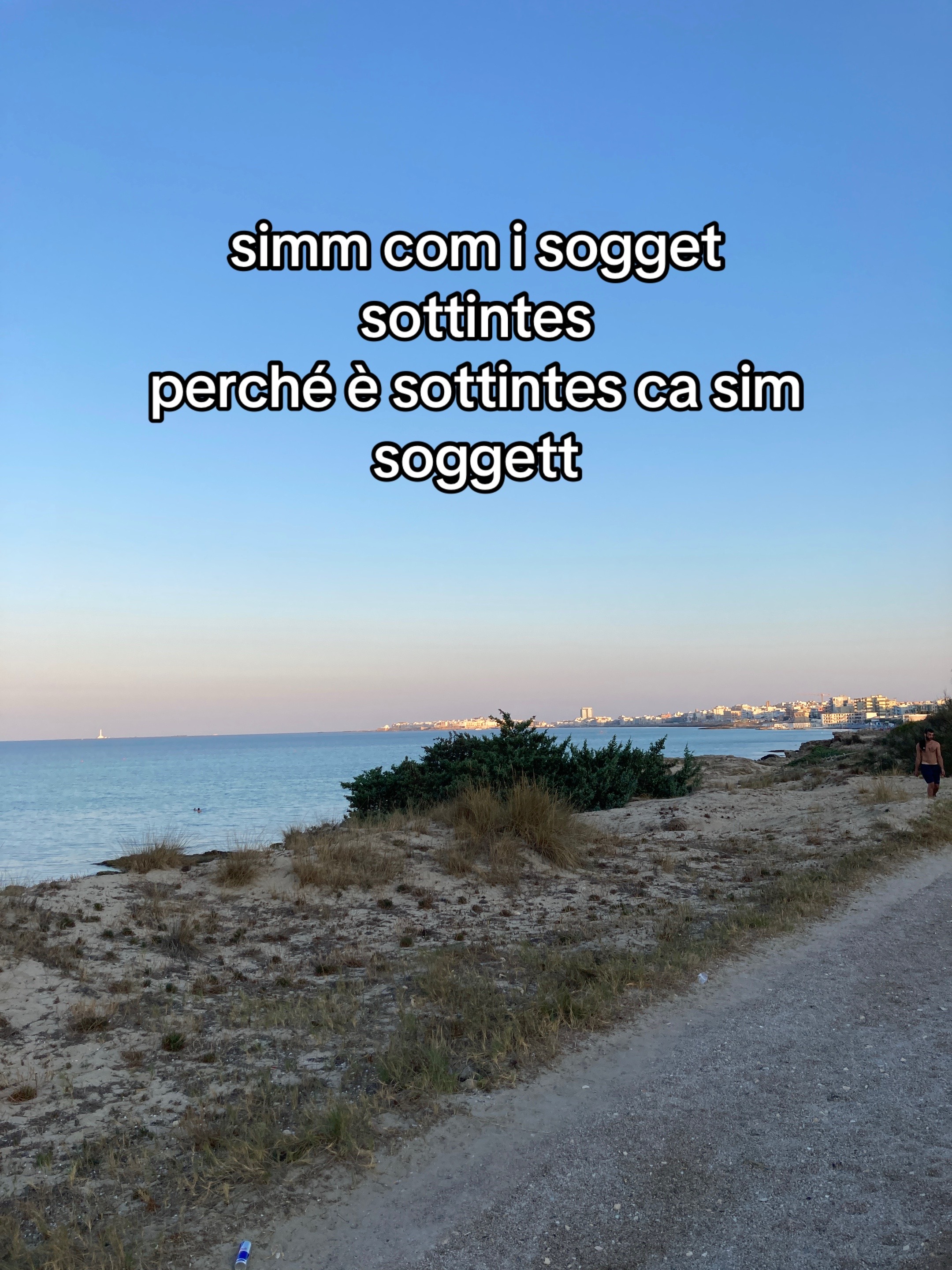 @domenico.facchini