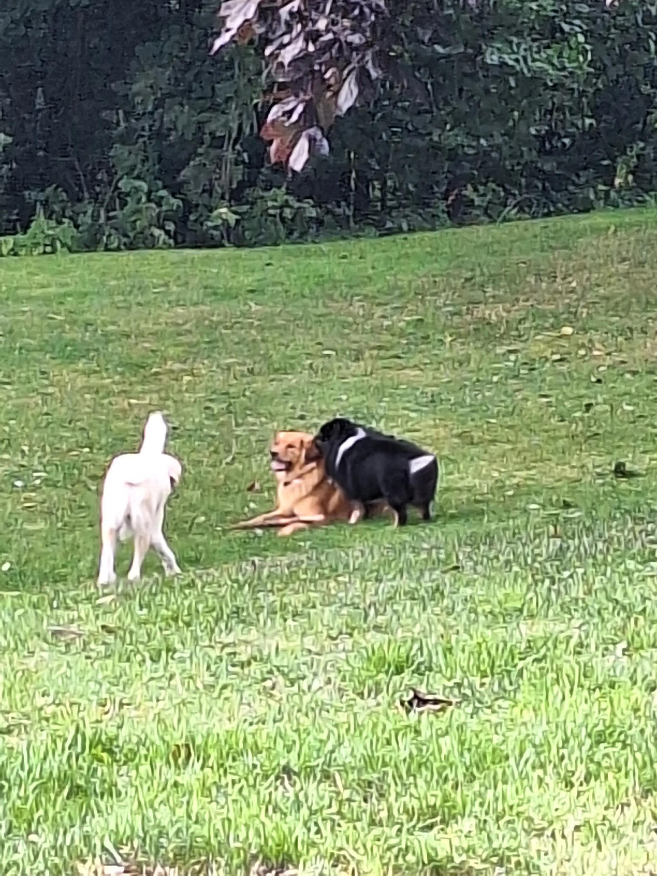 @Uwe g.