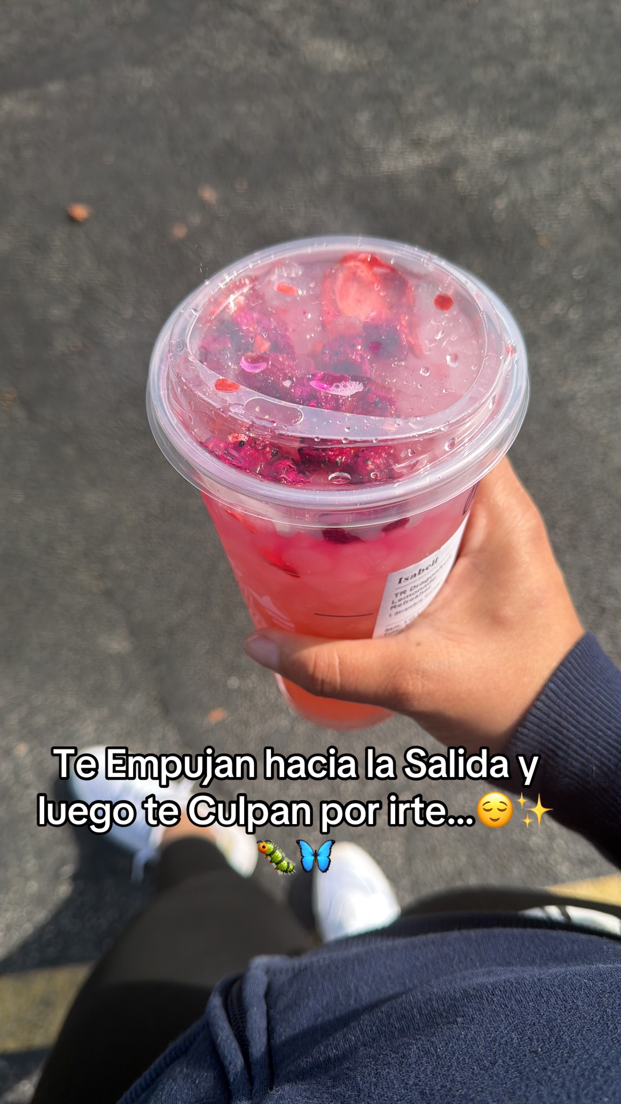@🌼🌸La Osita 🌸🌼