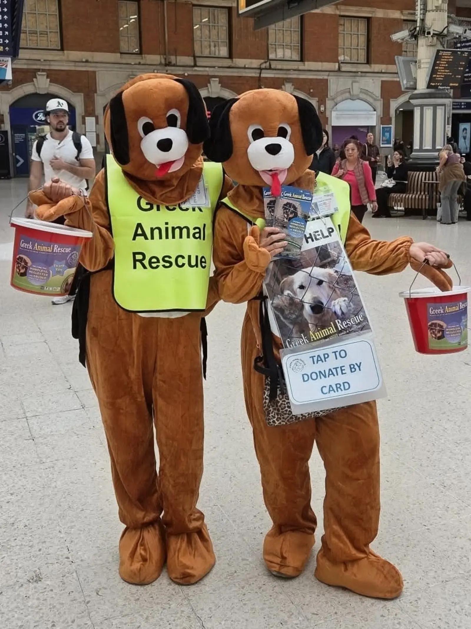 @Greek Animal Rescue