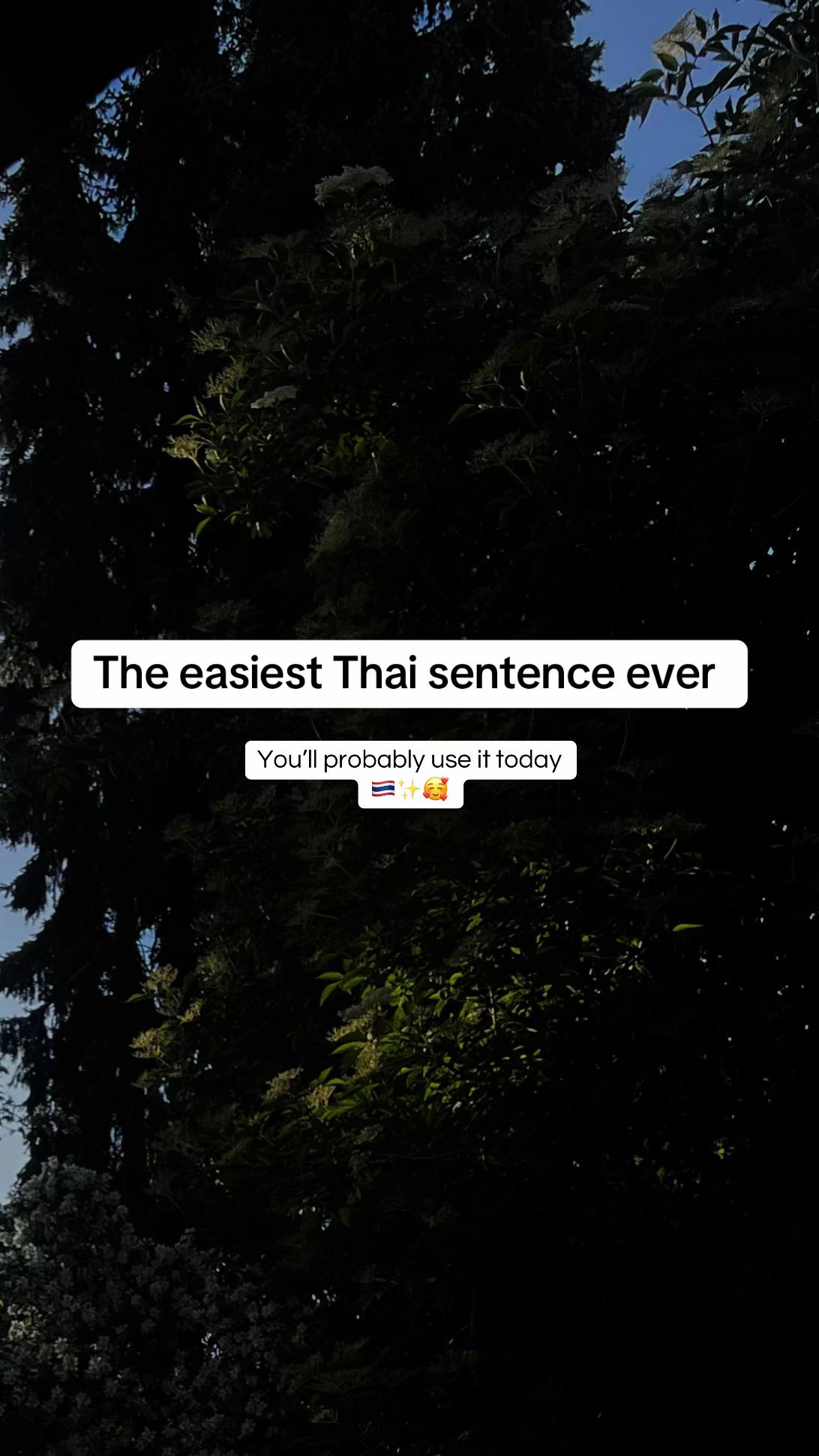 @moniCe &bull; โมนิ