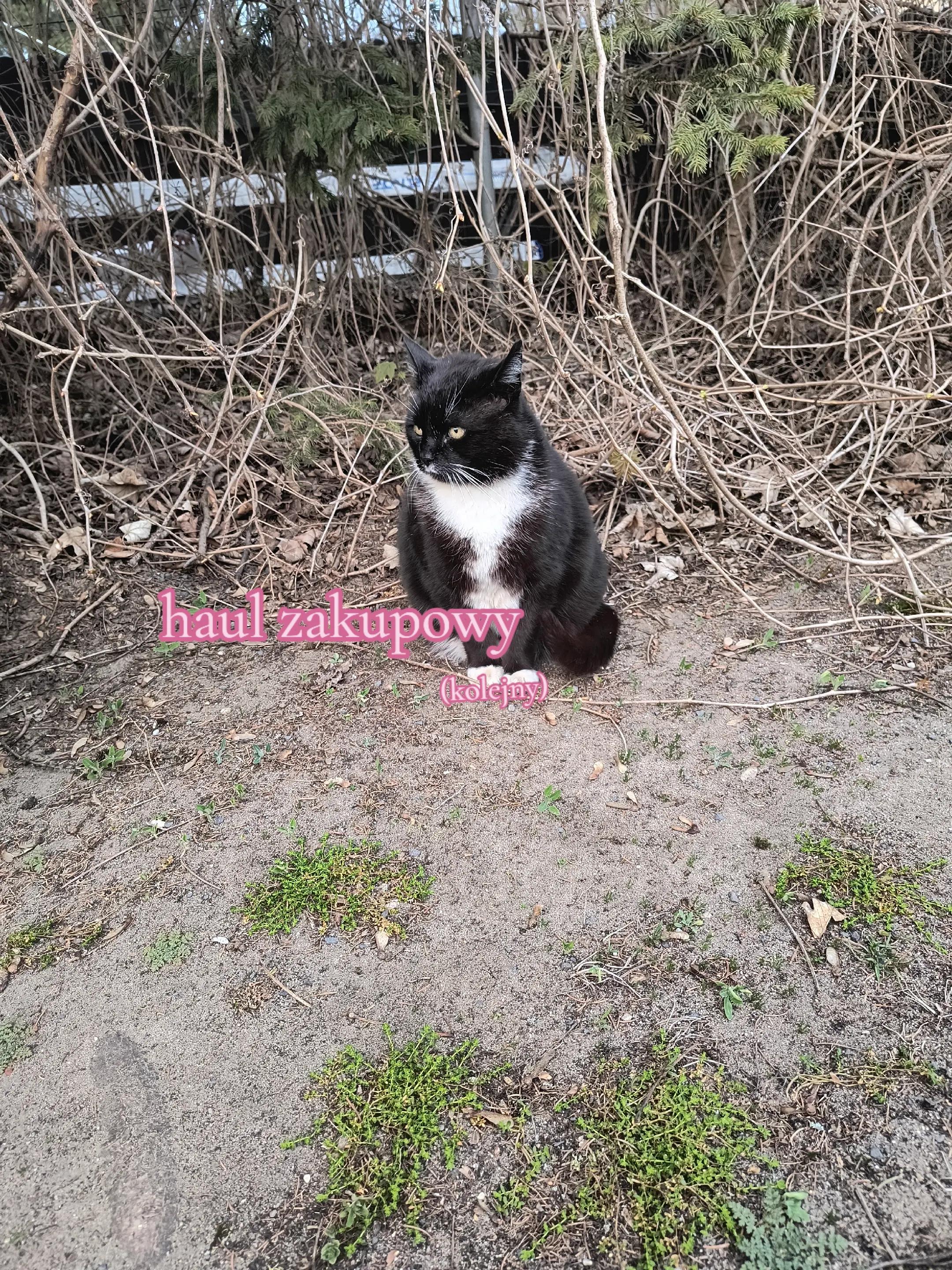 @🍓🐈&zwj;⬛𝐋𝐮𝐜𝐞𝐤/𝟏,𝟎𝐤🐈&zwj;⬛🍓