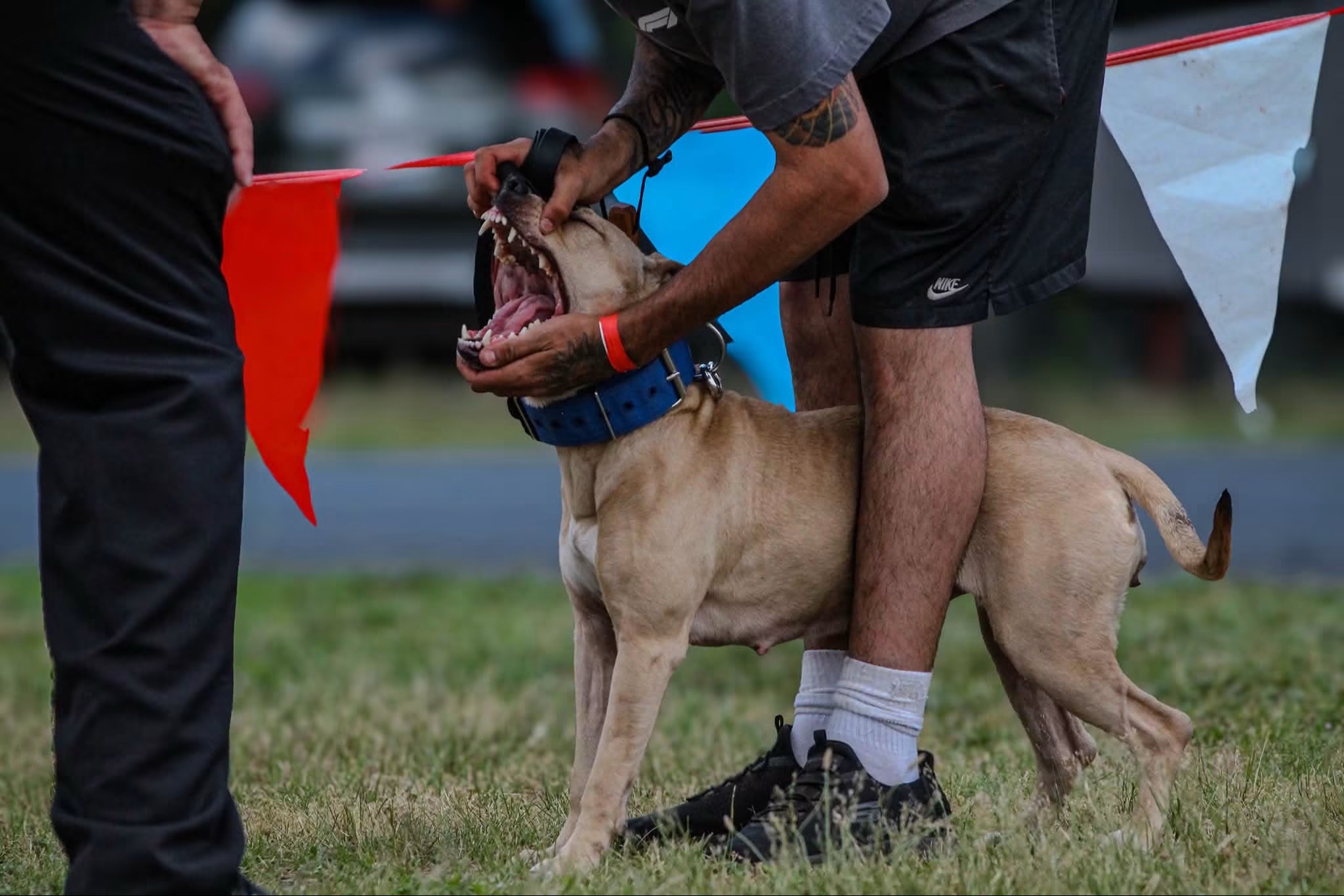 @Rocha_apbt
