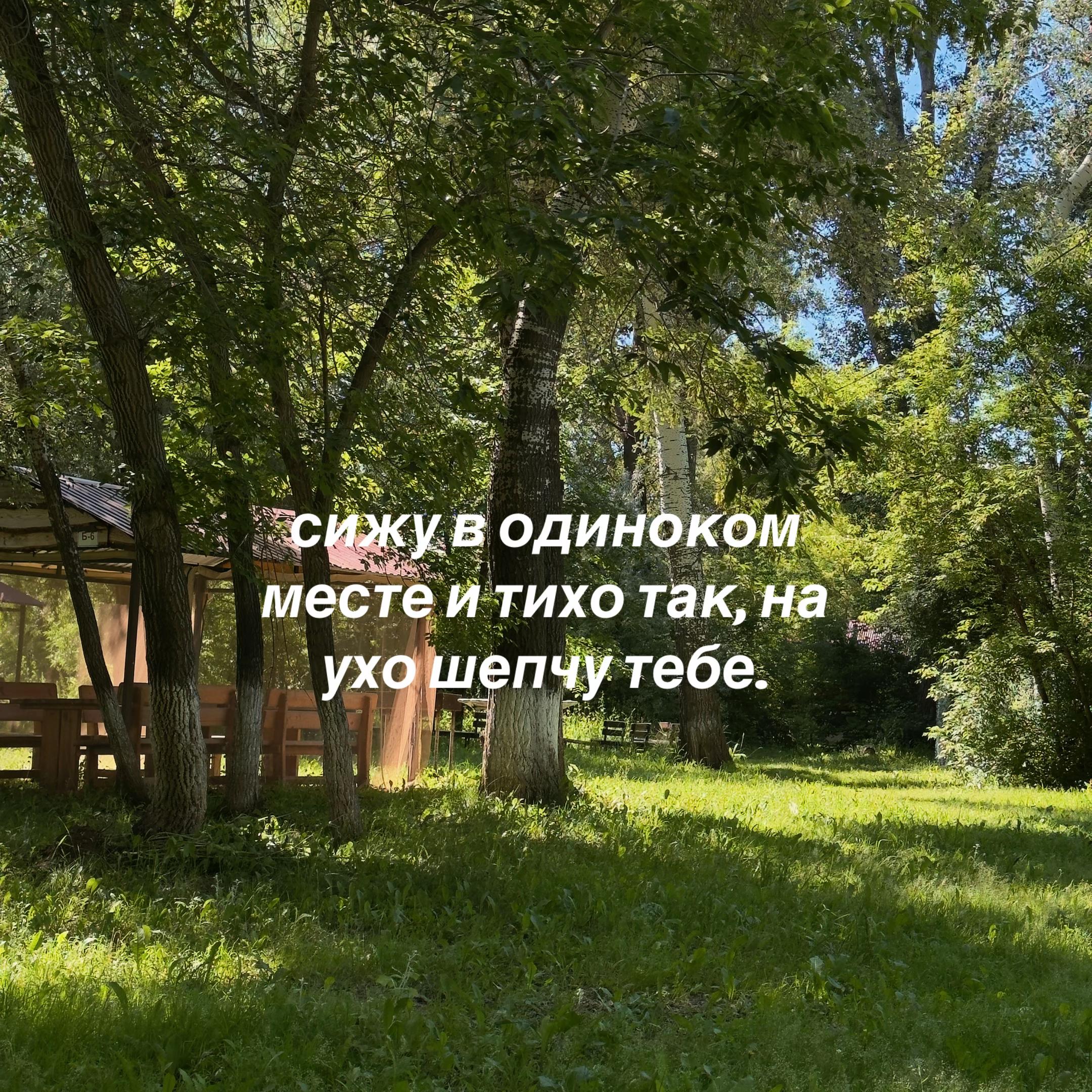 @𝔂𝓾𝓷𝓸十