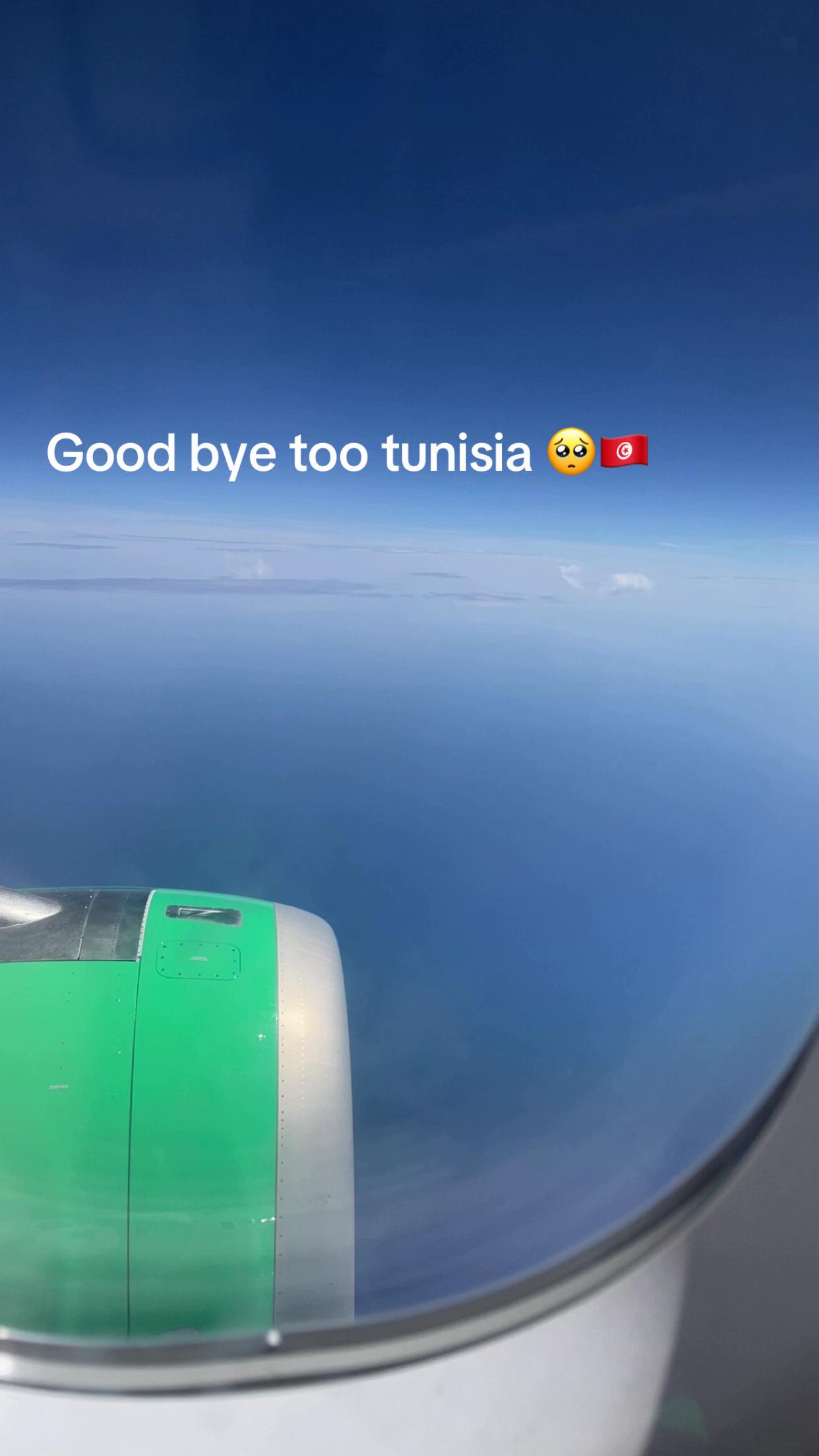 @A🕊️