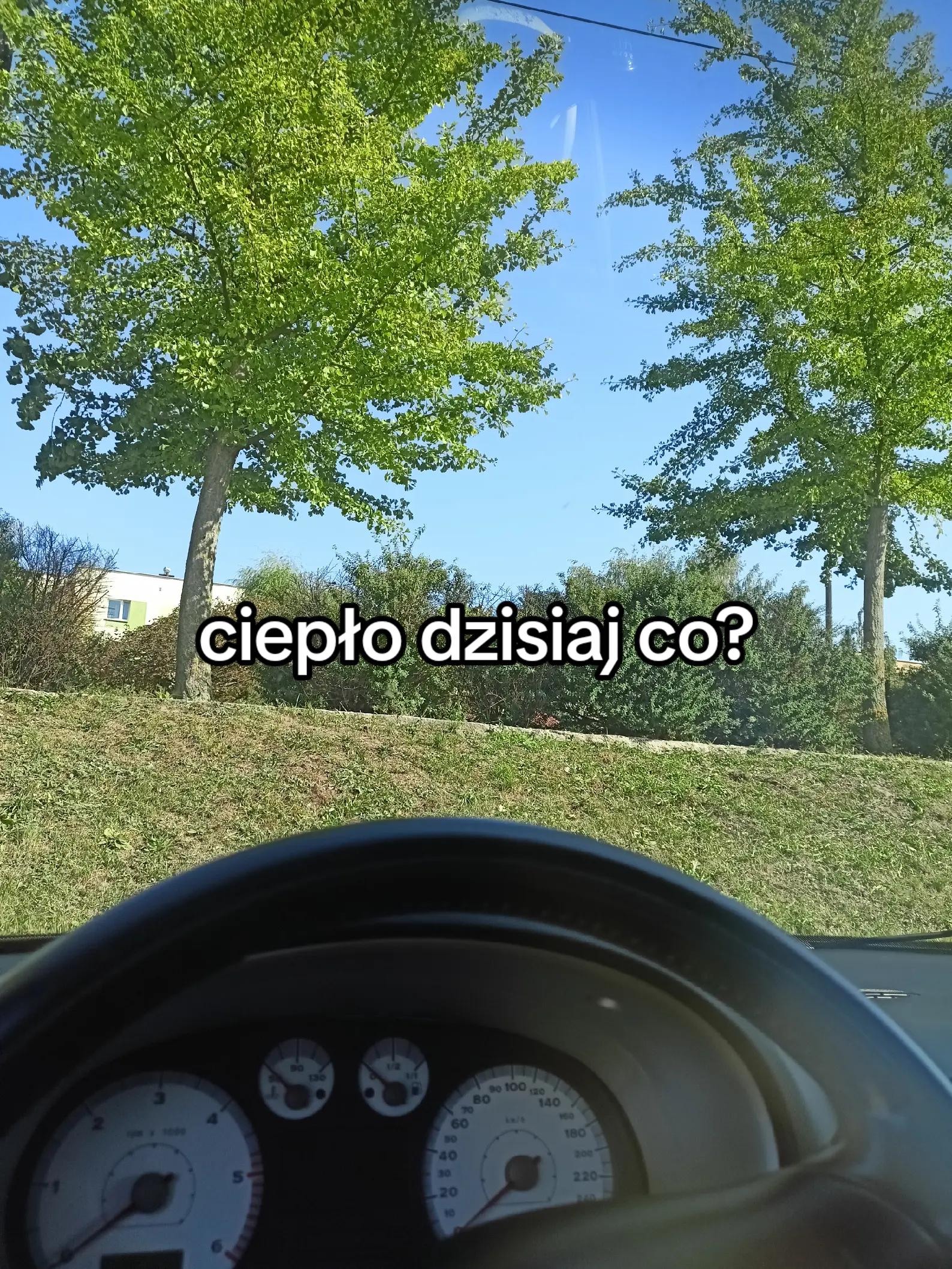 @Zyzio_CR
