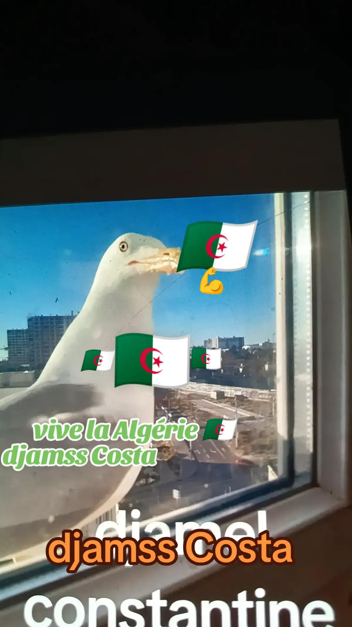 @โ๏ธ djamss Costa ๐จ๐ต๐ฉ๐ฟโ๏ธ