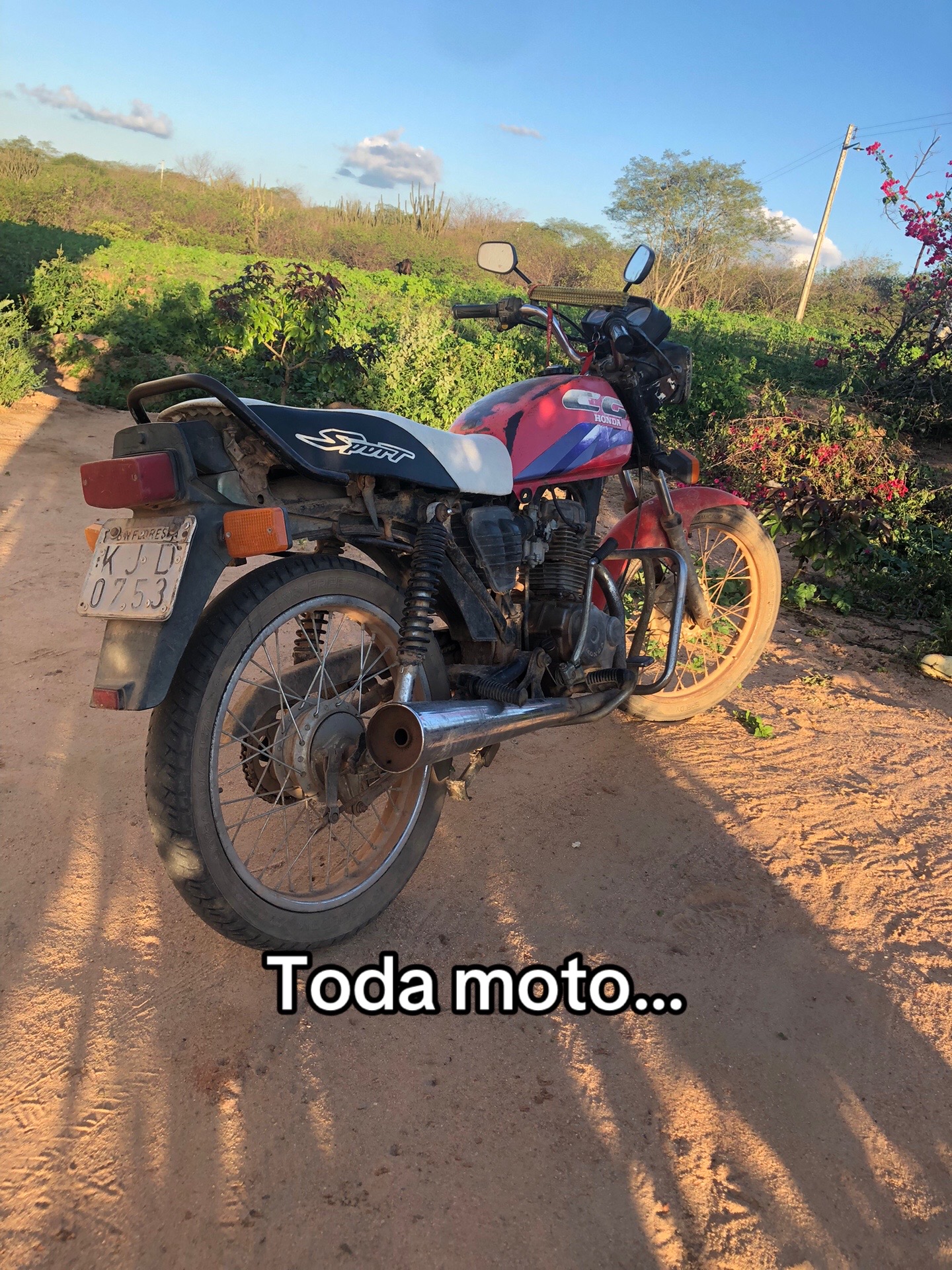 @Leoberto Júnior