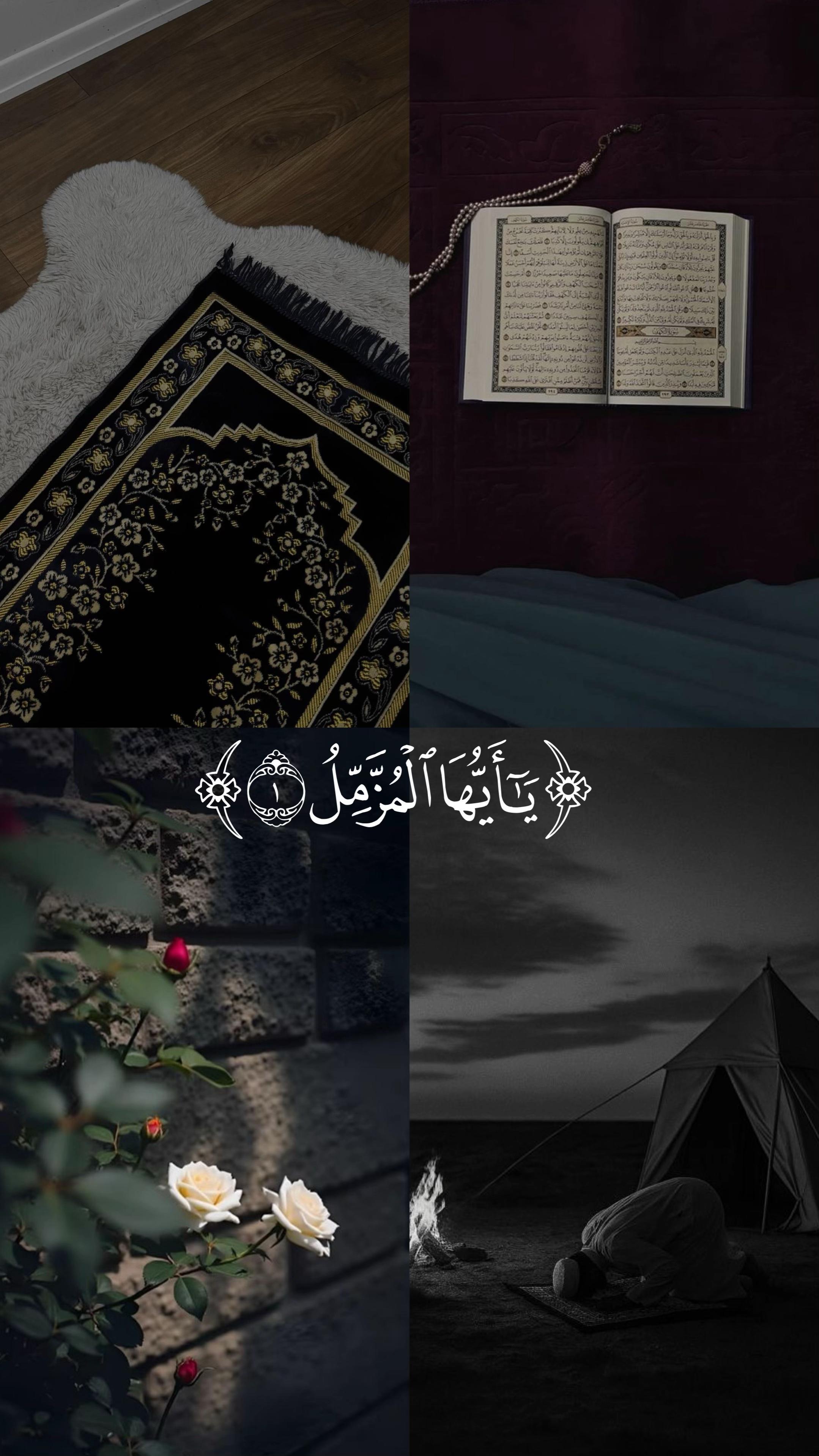 @📿اصيل المركعي📚