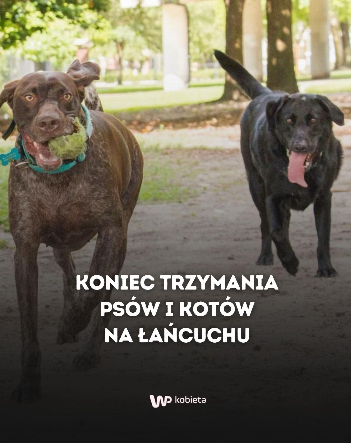 @WP_Kobieta
