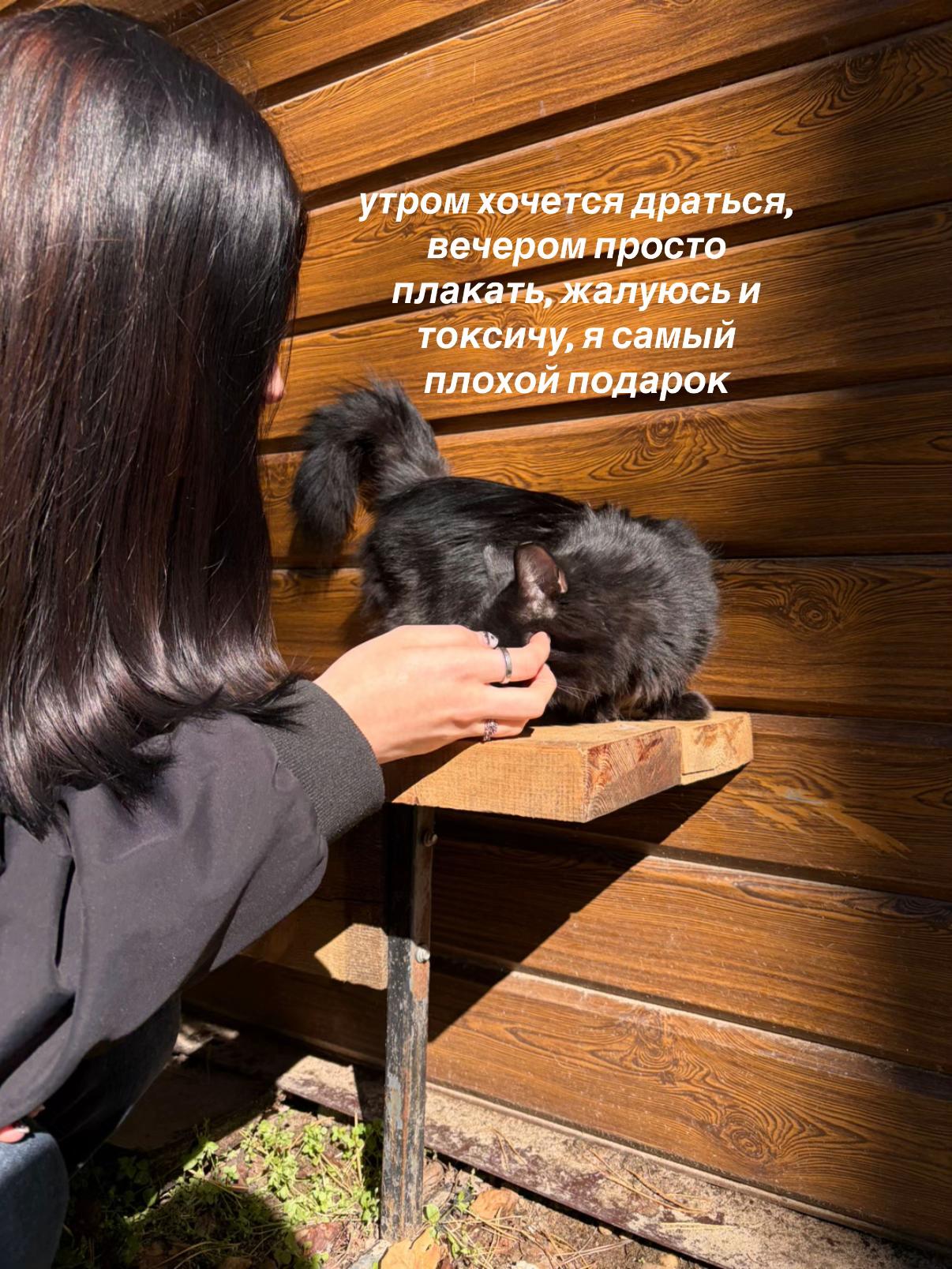 @тгк-“кладбище надежд“
