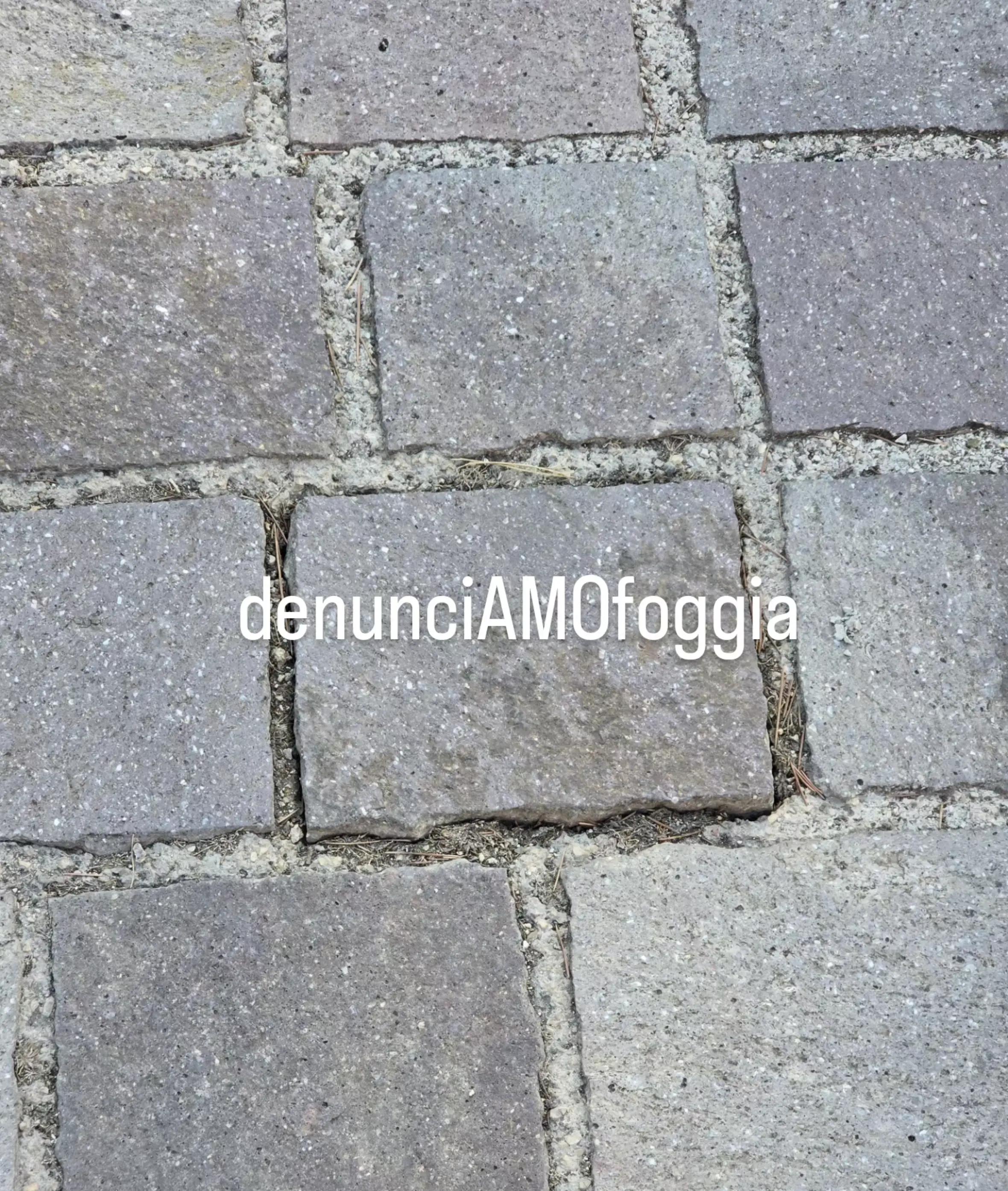 @denunciAMOfoggia