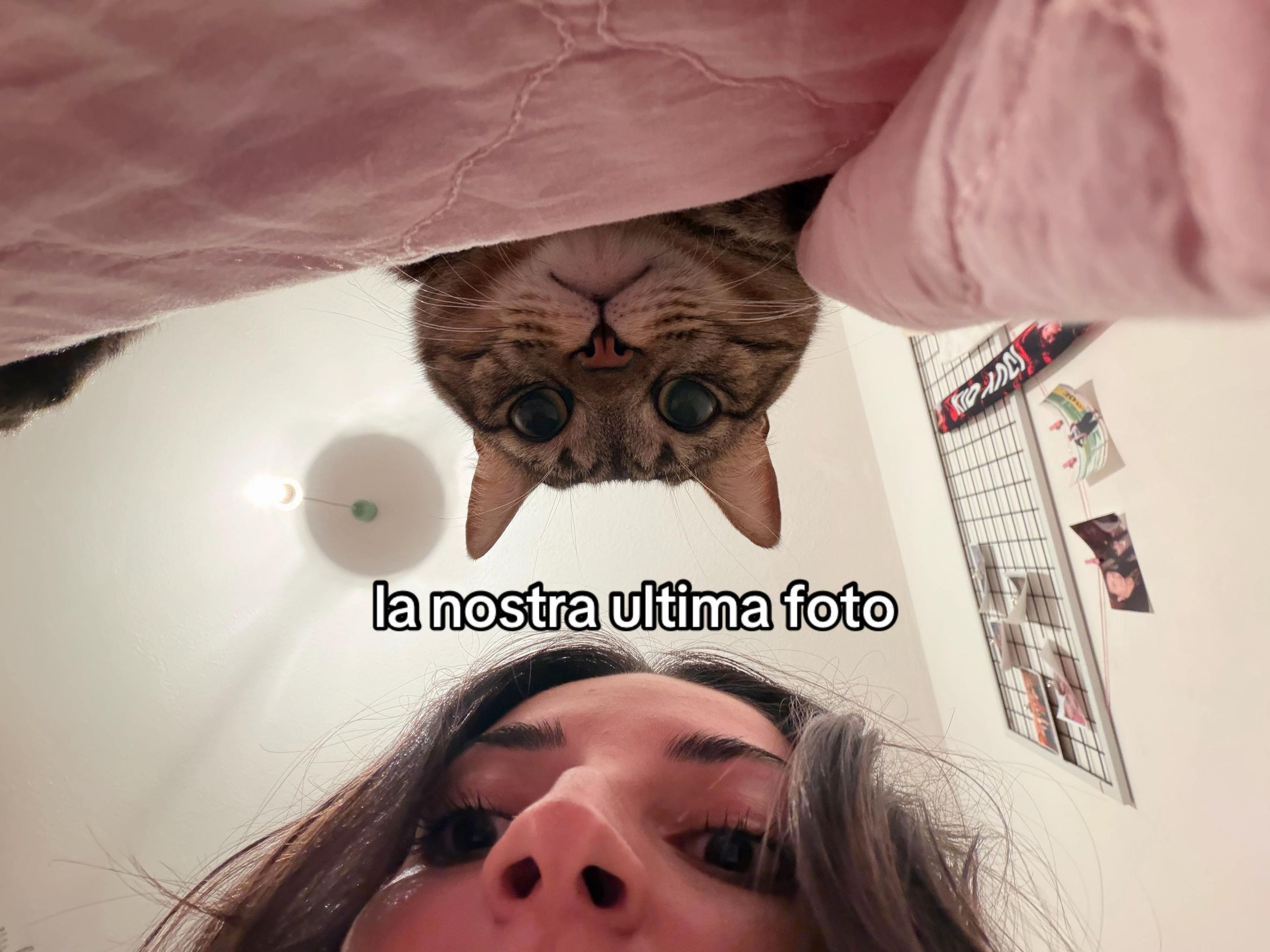 @_chiaxspam_
