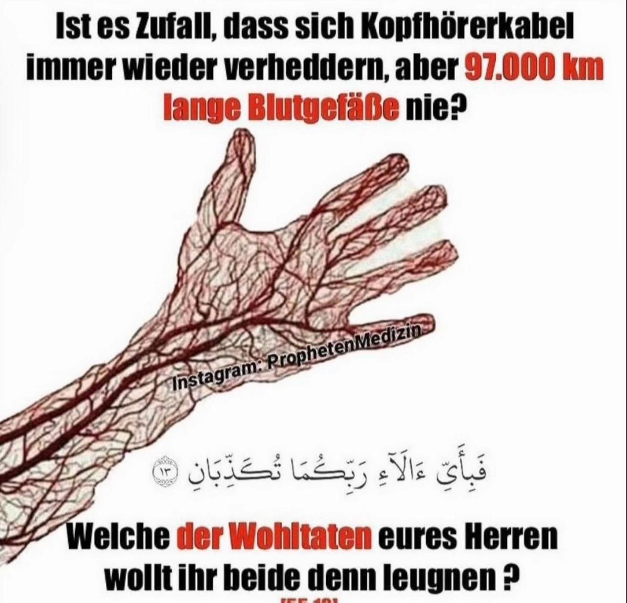 @botschaft_islam