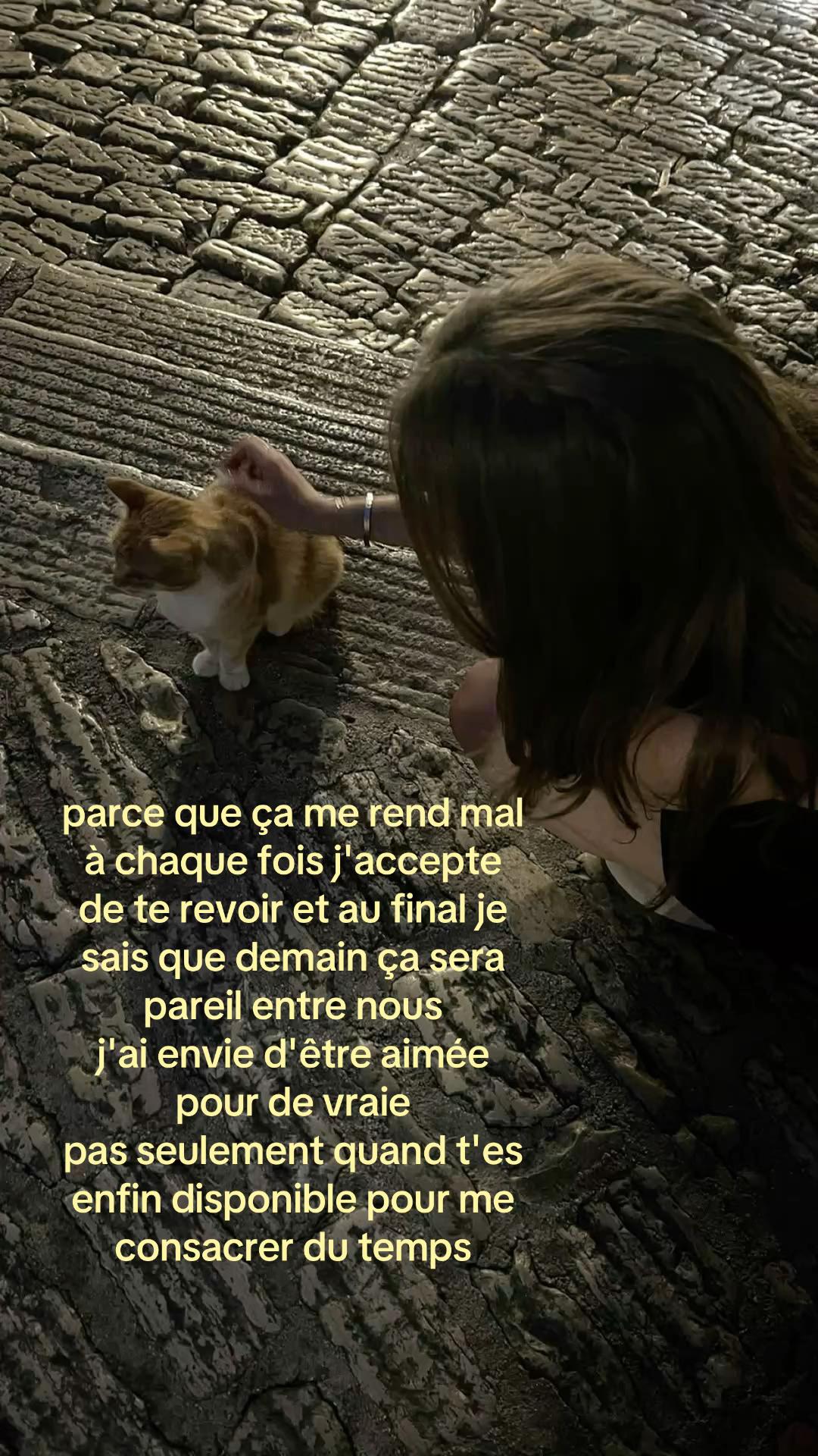 @anii16782