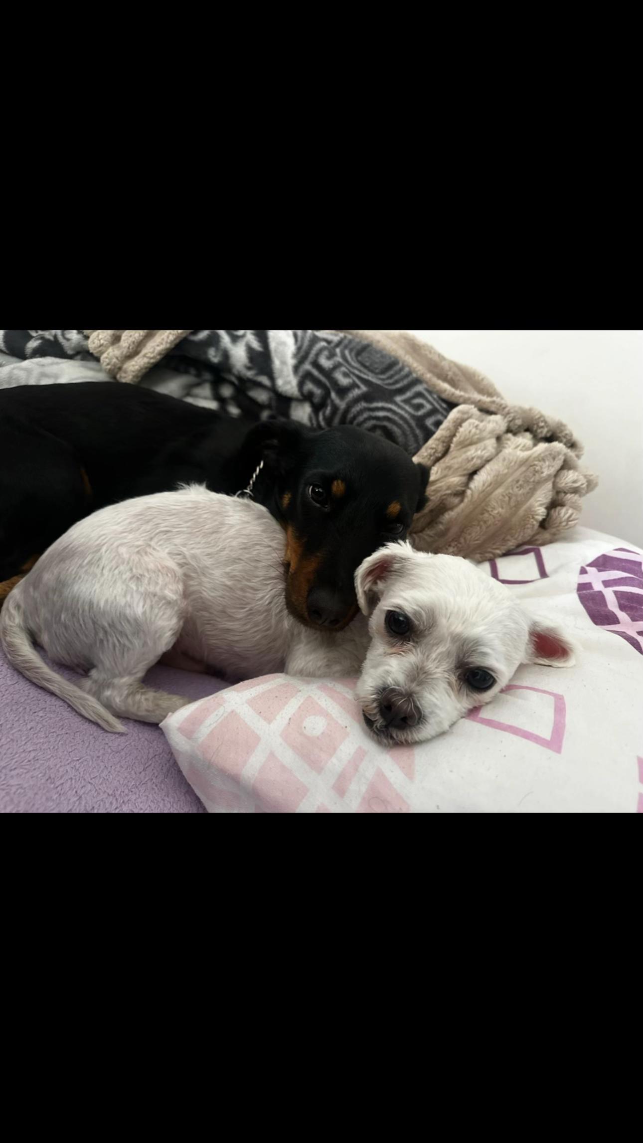 @Bojanaa🐾